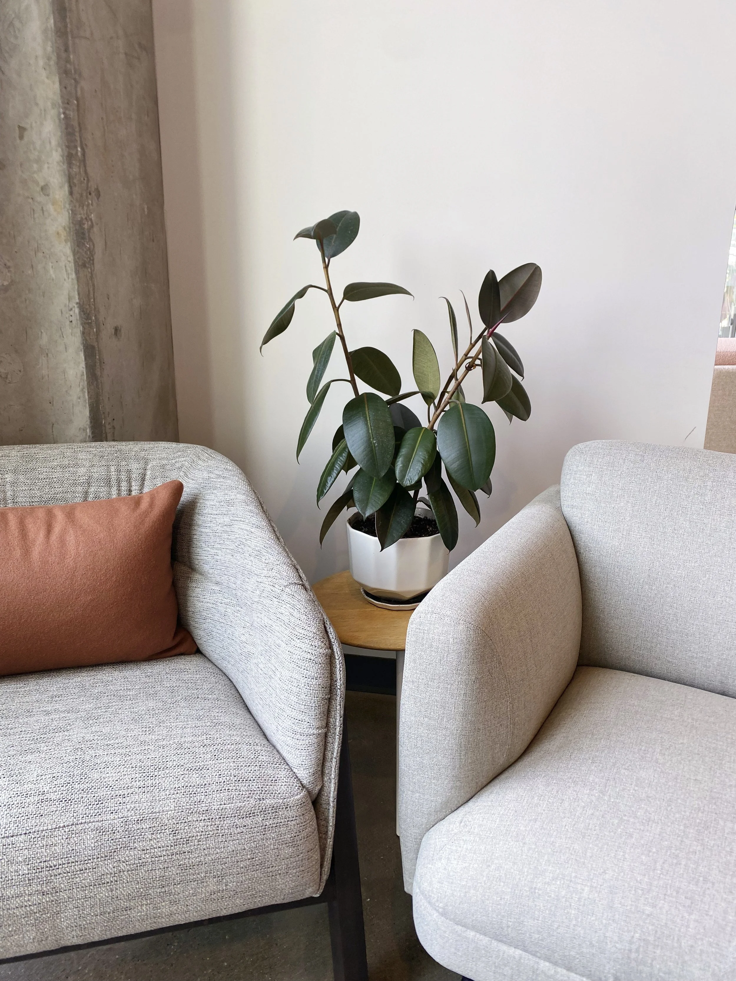 Photo Jun 08 2023, 12 20 38 PM-2.jpg