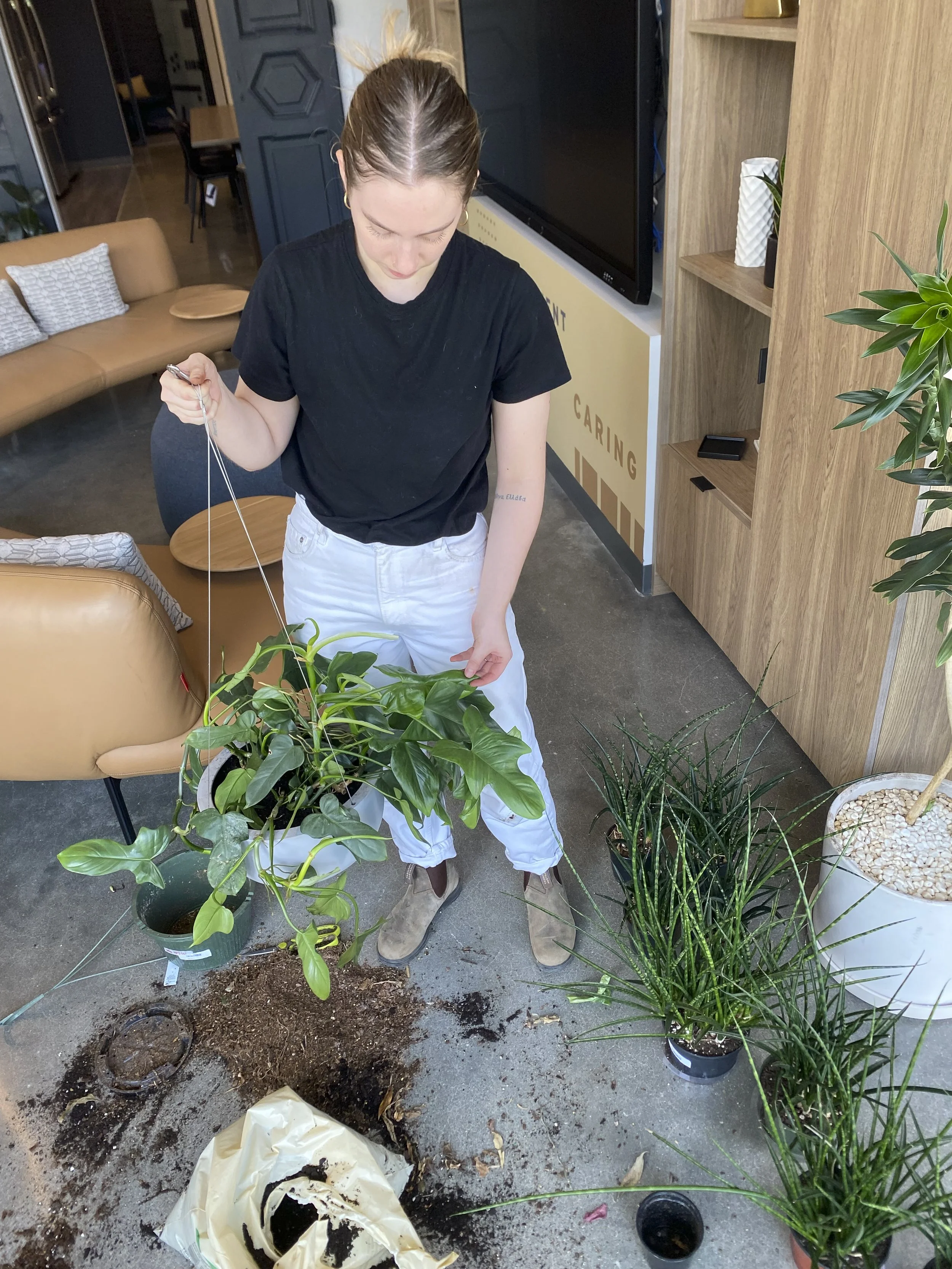 Photo Jun 08 2023, 12 30 43 PM-2.jpg