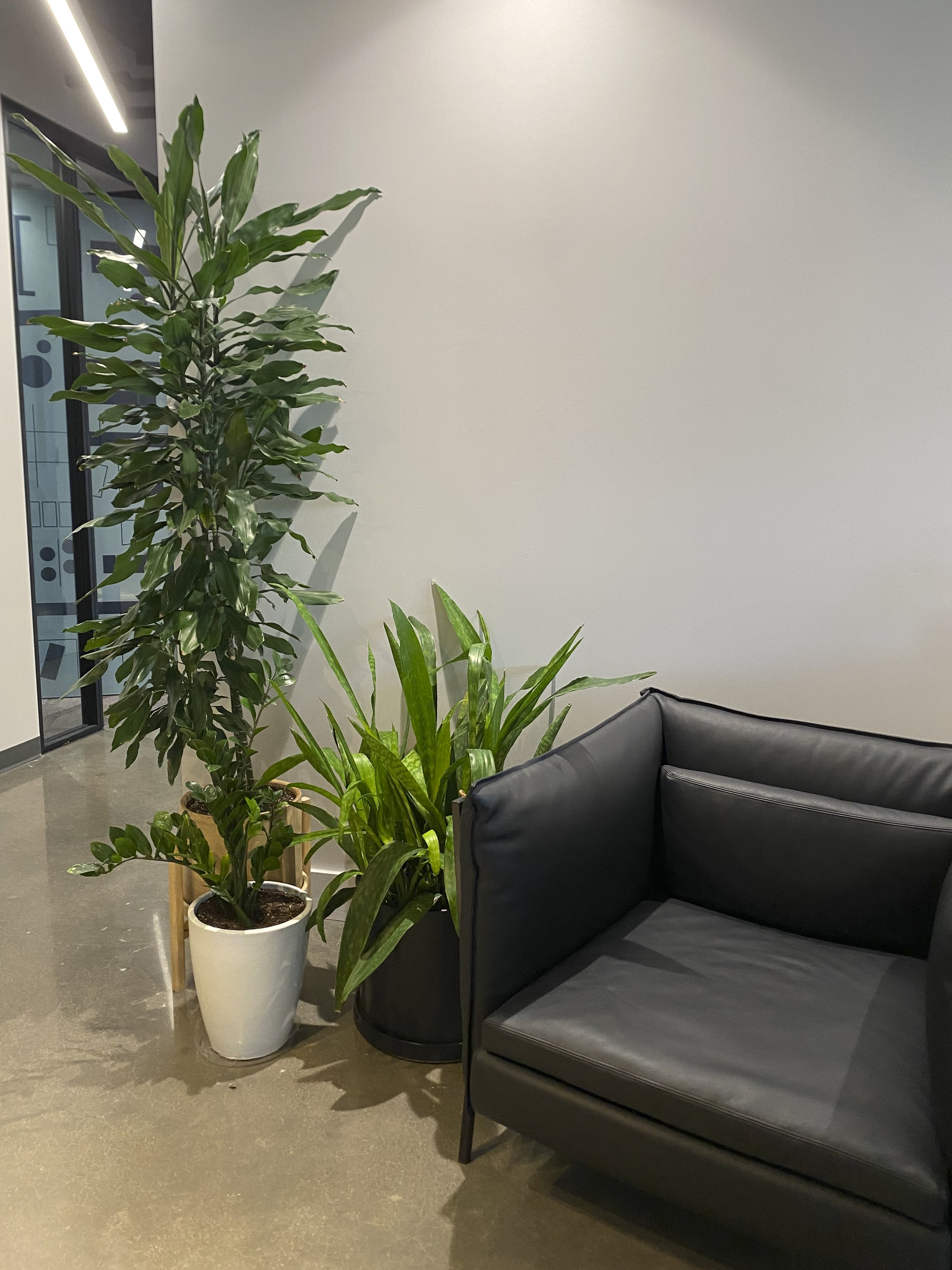 Photo Jun 08 2023, 12 58 56 PM-2.jpg