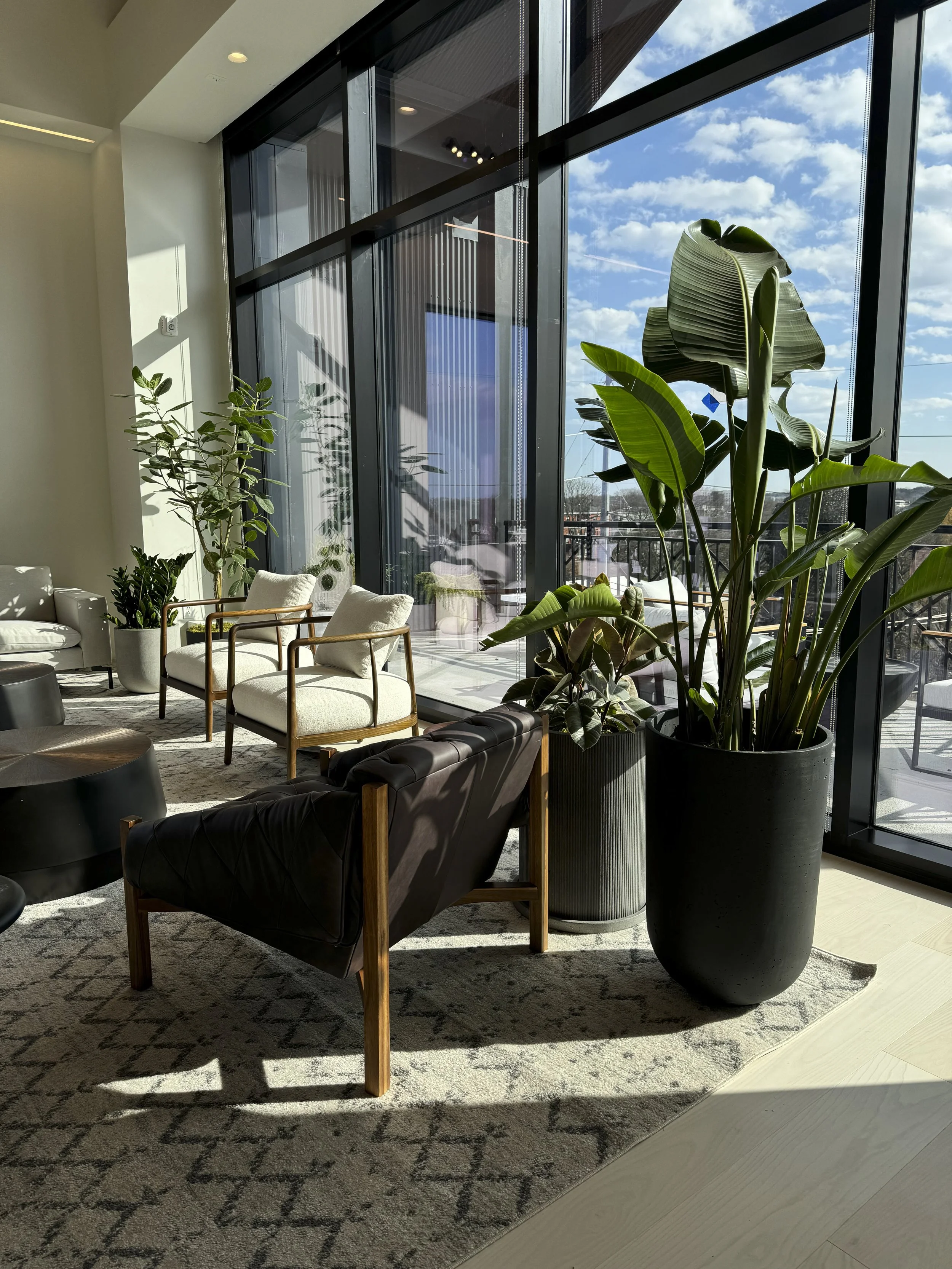 Photo Dec 04 2024, 11 58 34 AM-2.jpg