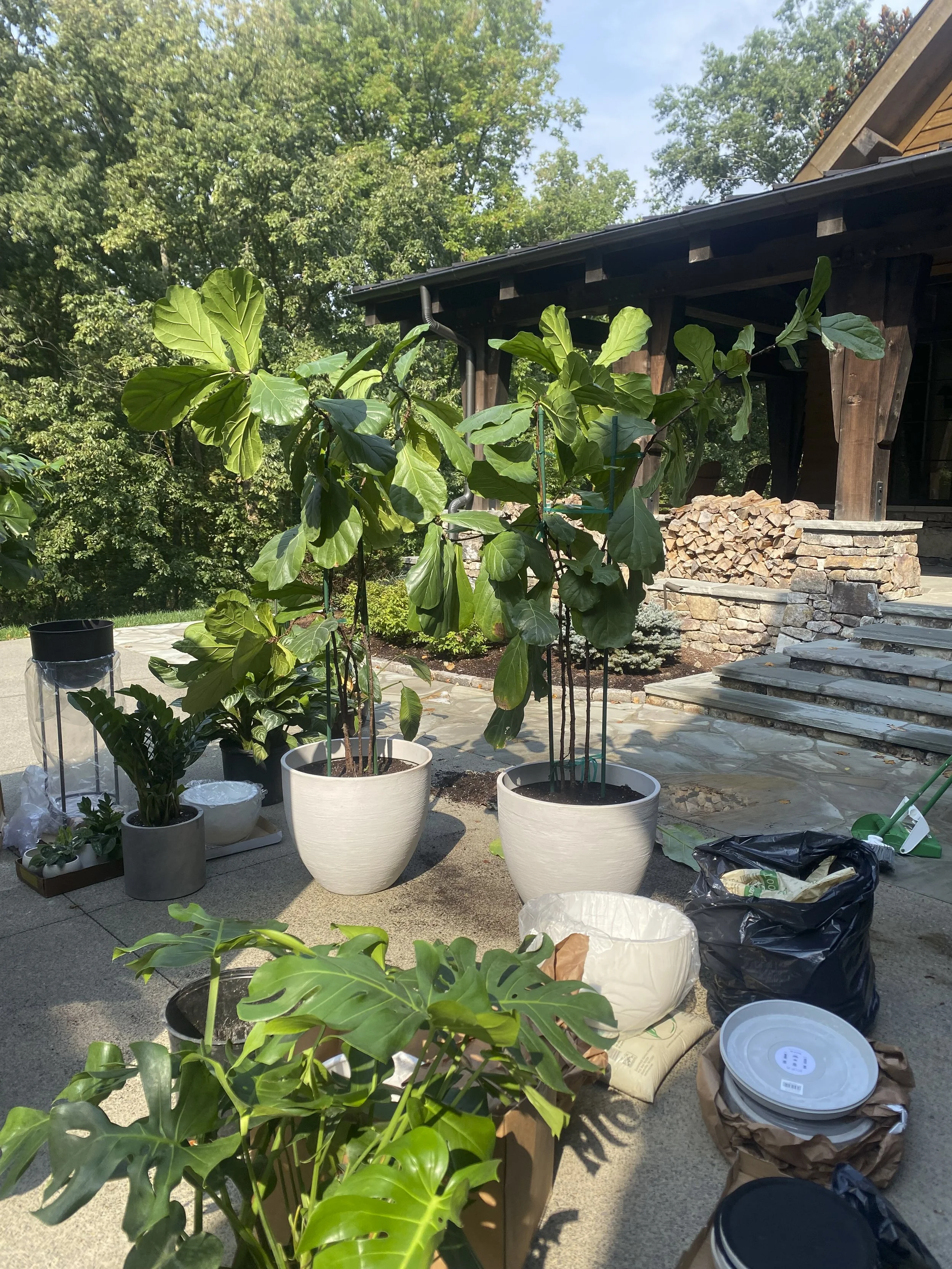 Photo Sep 28 2023, 10 23 51 AM-2.jpg