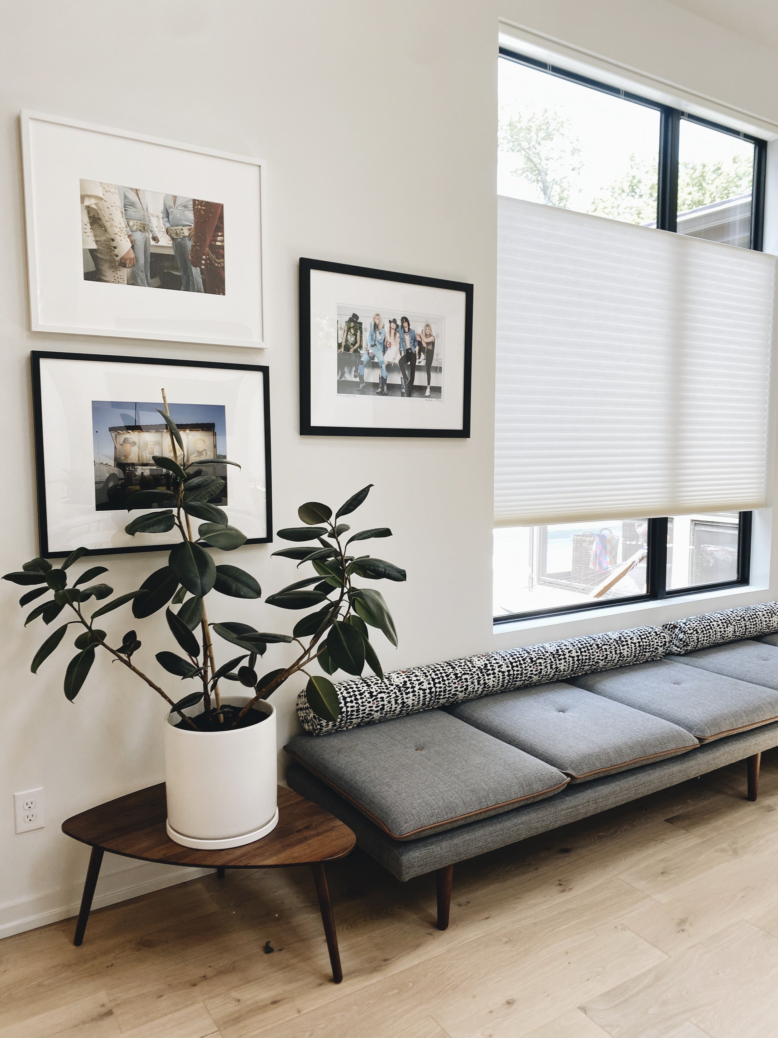 Photo May 18 2023, 12 40 52 PM-2.jpg