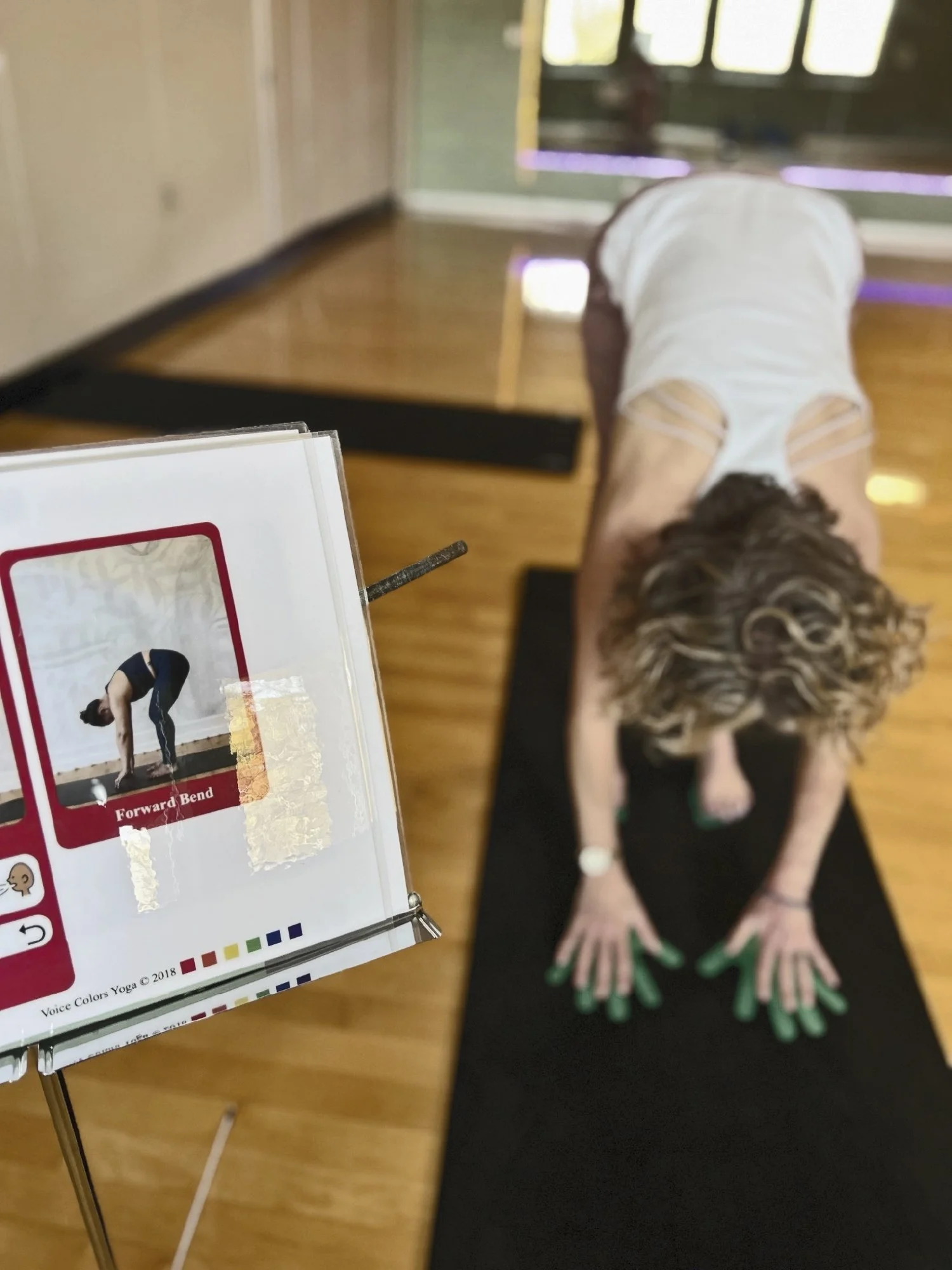 This infographic looks like a wheel with five pie shapes: Check-In, Depleting, Replenishing, Reflection, and Choice. 