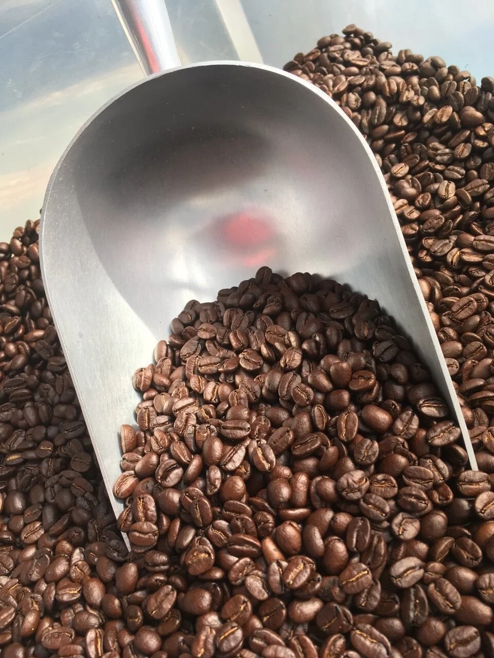Bean