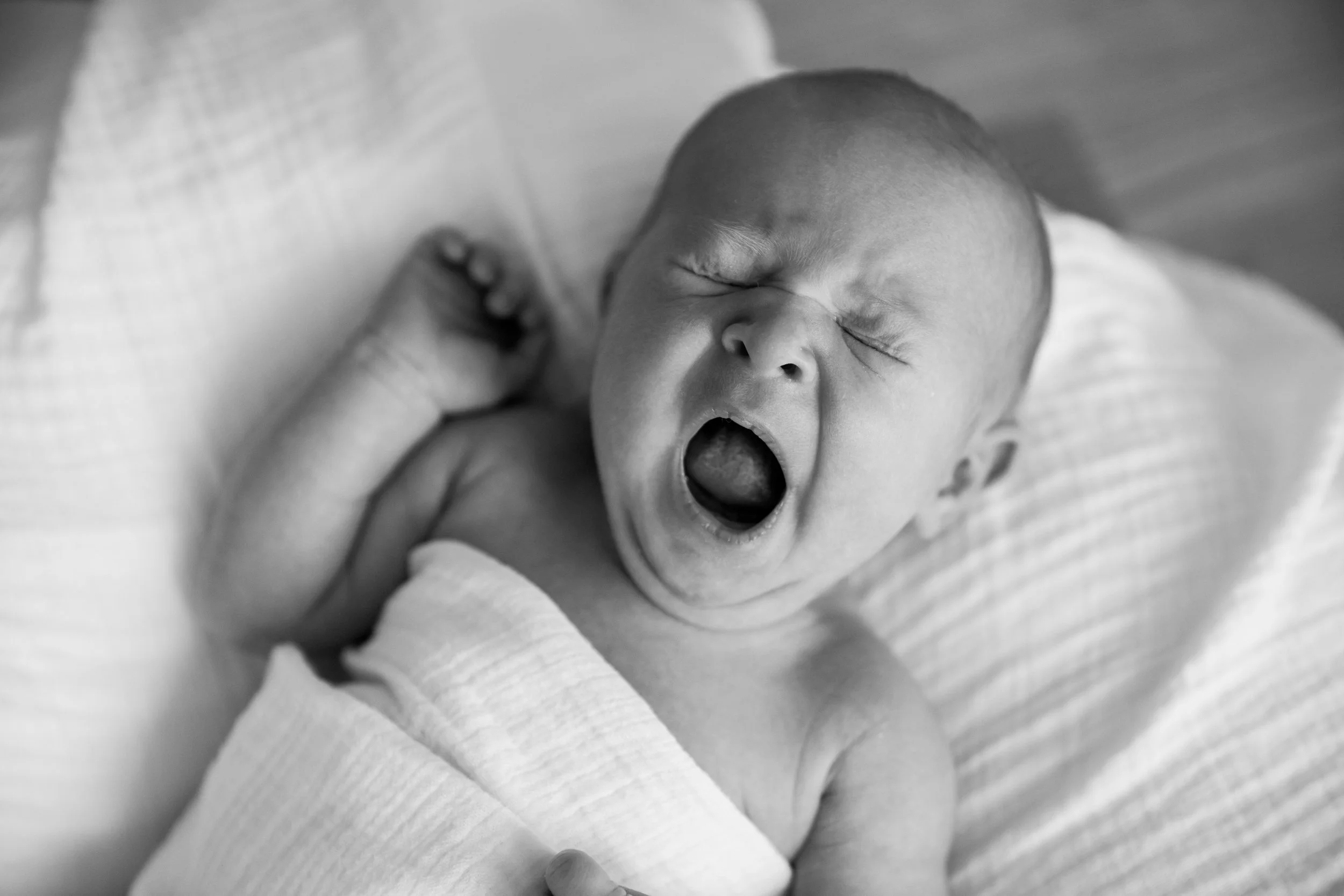 newborn baby yawning Lydia Leclair Maternity Photographer Cape Cod