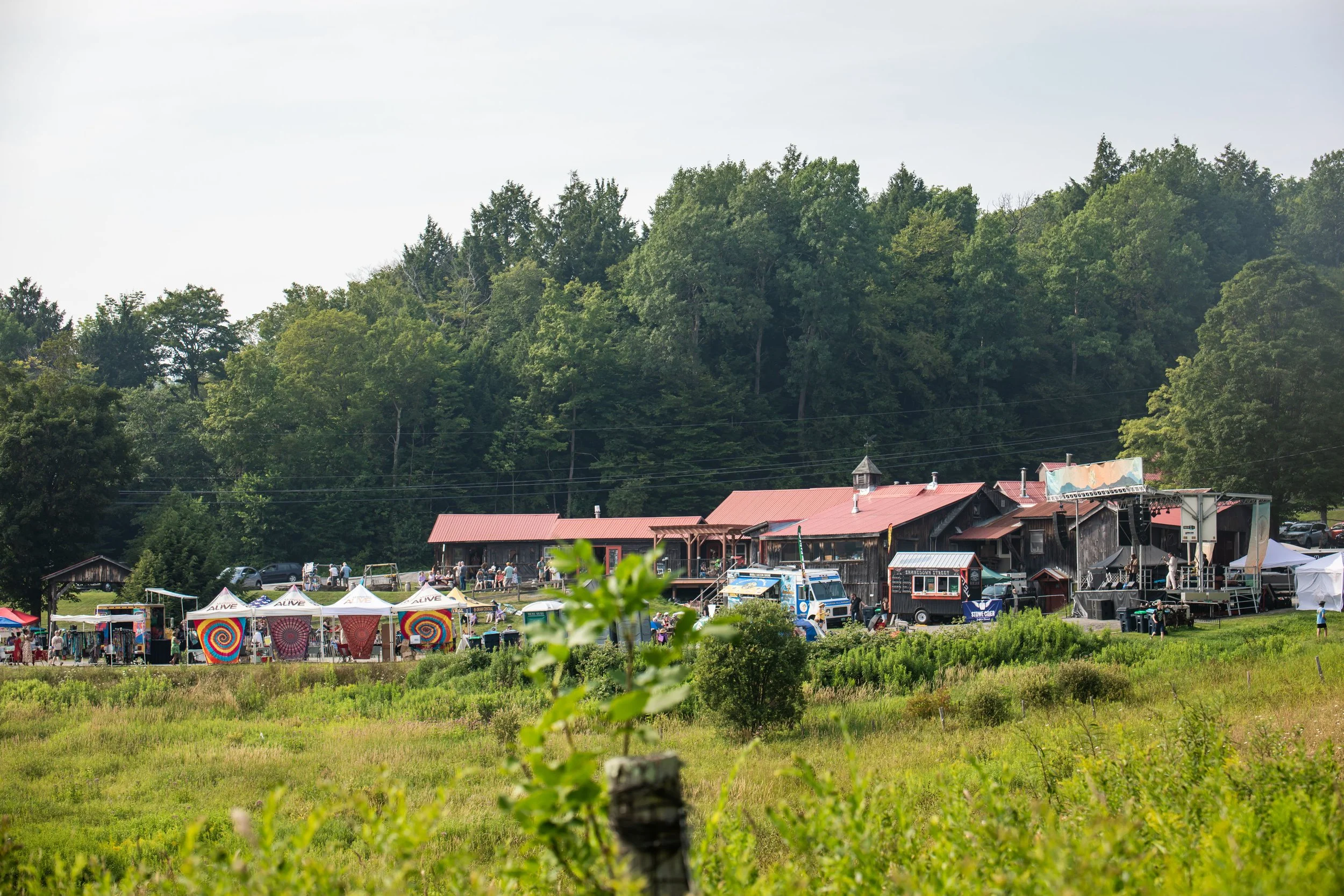 LAP-MRF2025-FESTIVALLIFE-100.jpg