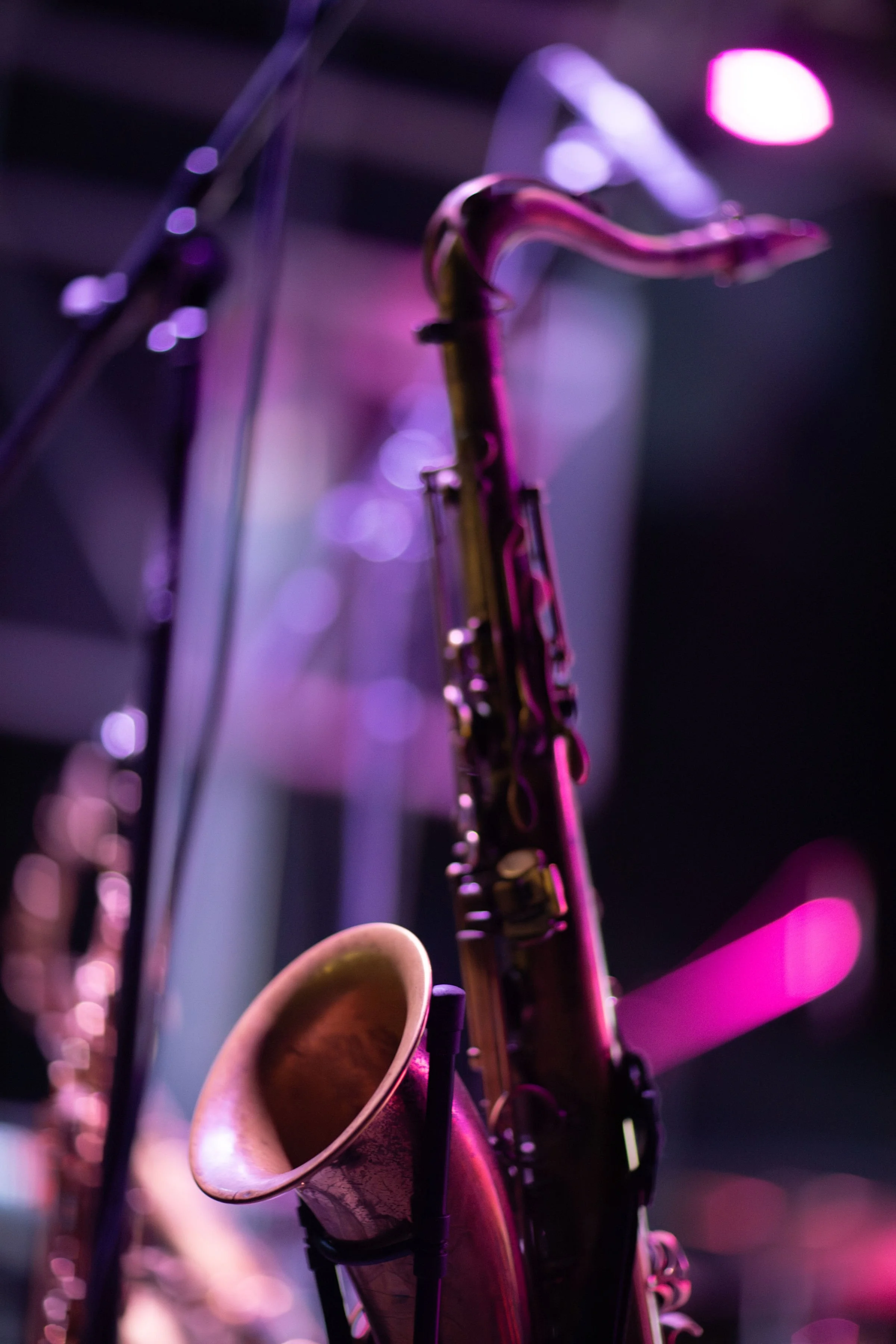 LAP-MRF2025-FESTIVALLIFE-201.jpg