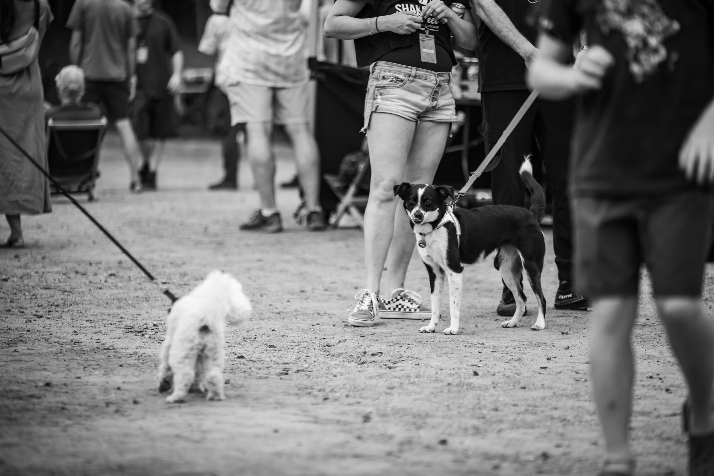 LAP-MRF2025-FESTIVALLIFE-184.jpg