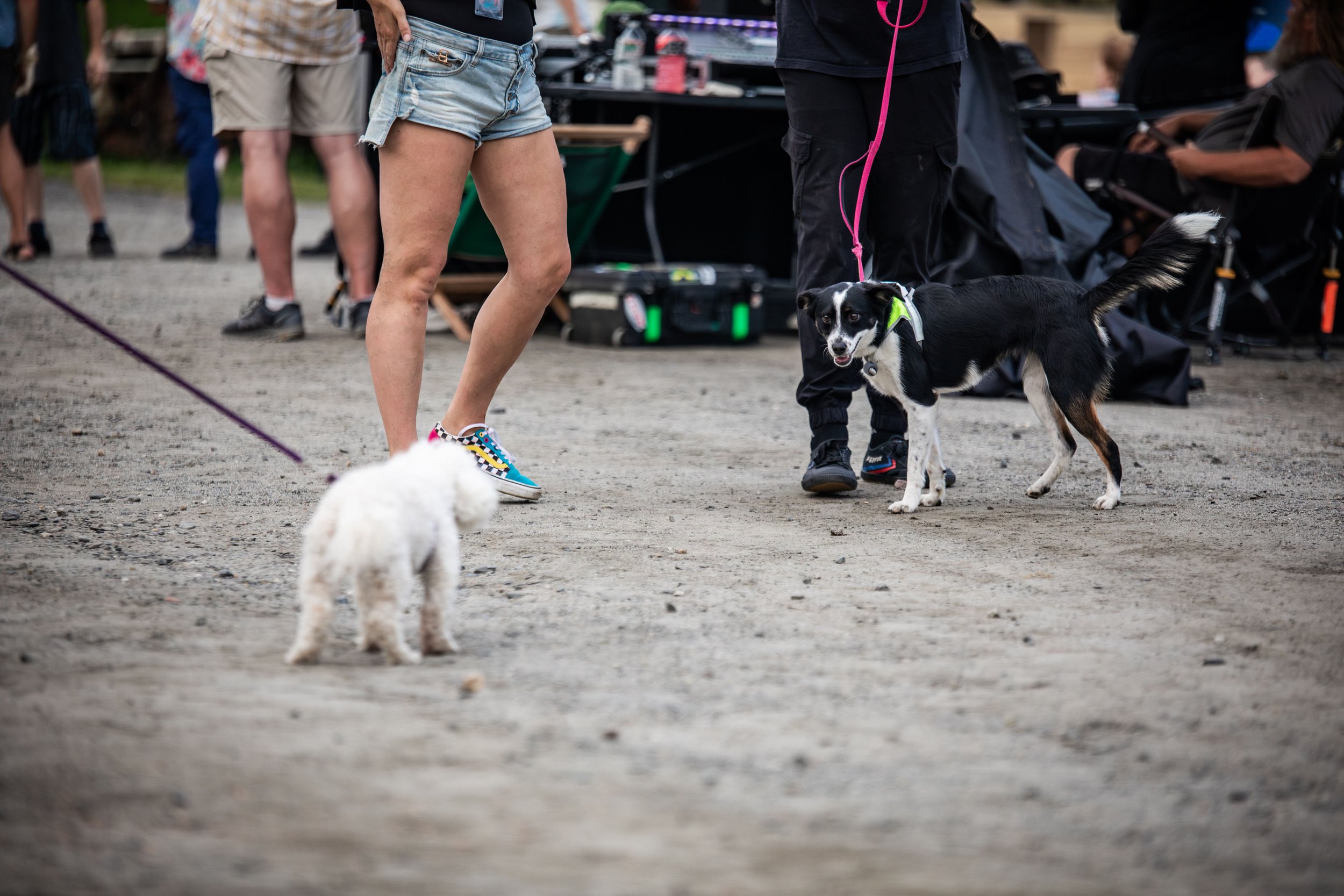 LAP-MRF2025-FESTIVALLIFE-183.jpg