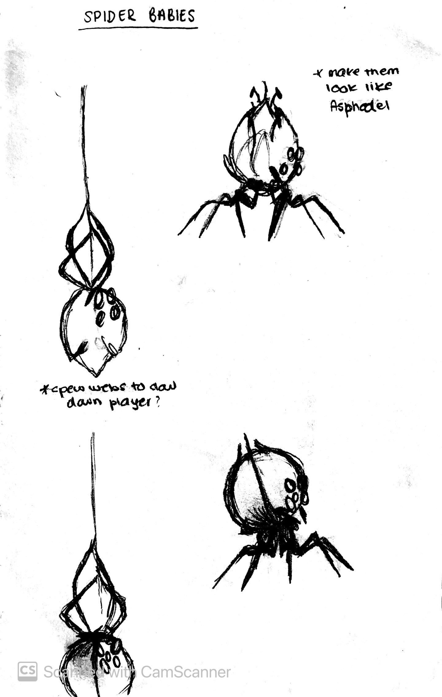 Rough cave spider 