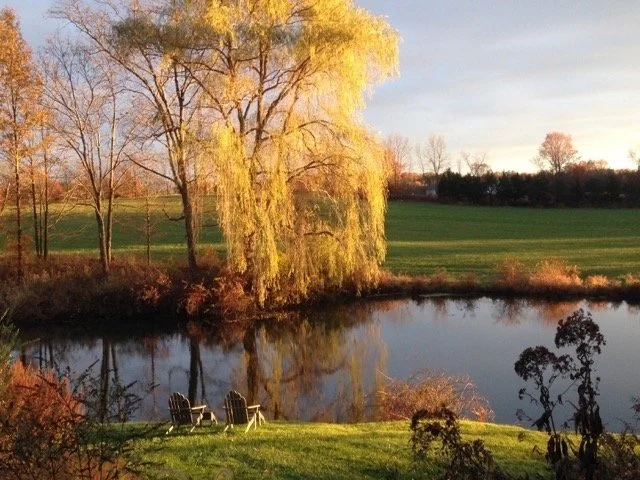 KISS MY FACE: A LOVE STORY with Inspirational  leadership