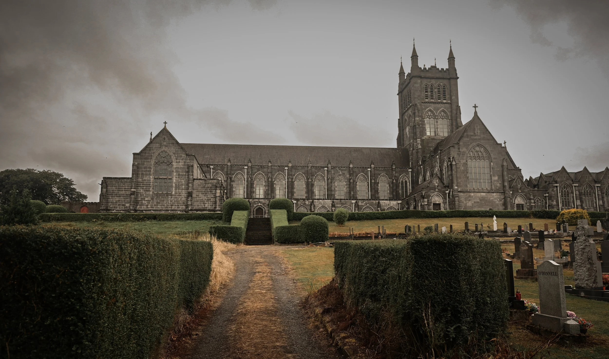 DSC_4312.JPG