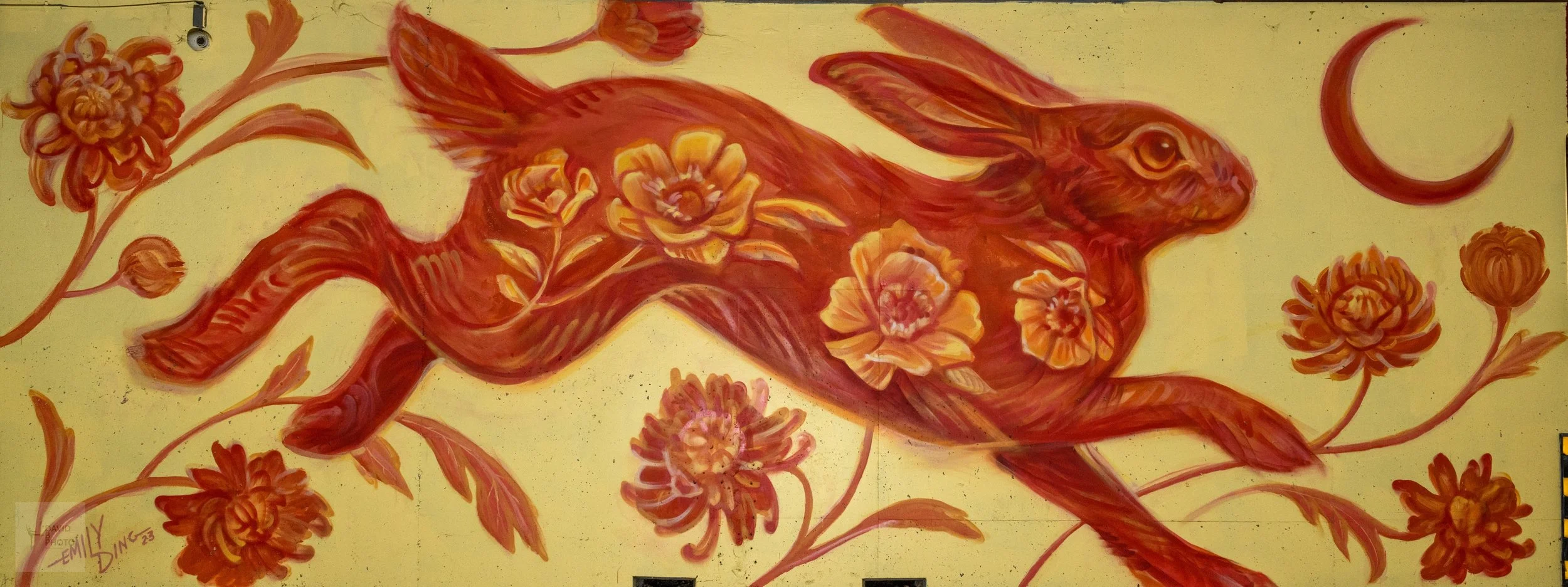 DSC_1216Resized Creative Concord copy.jpg