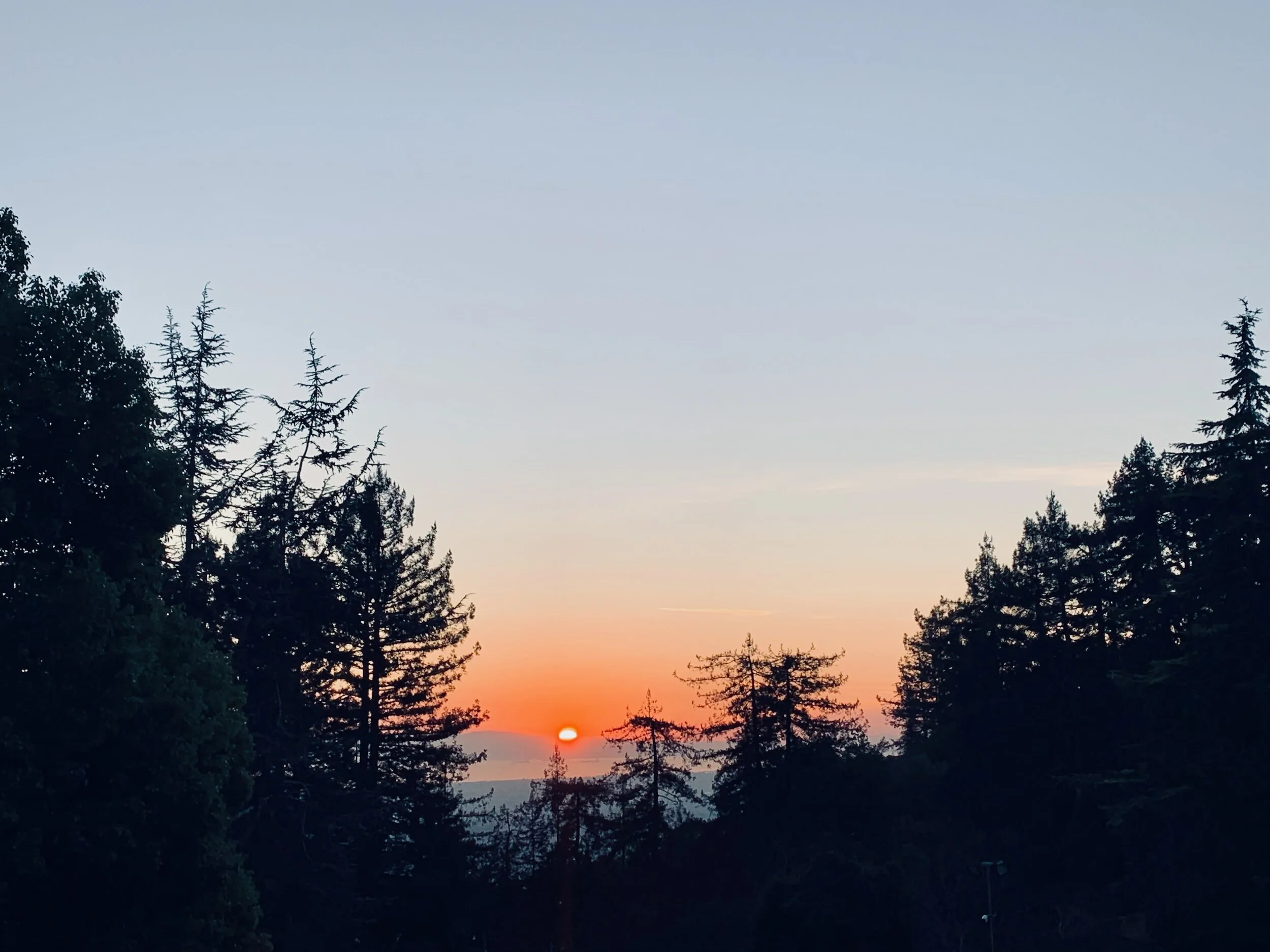 Watching the sunset at the top of the Oakland Hills, CA