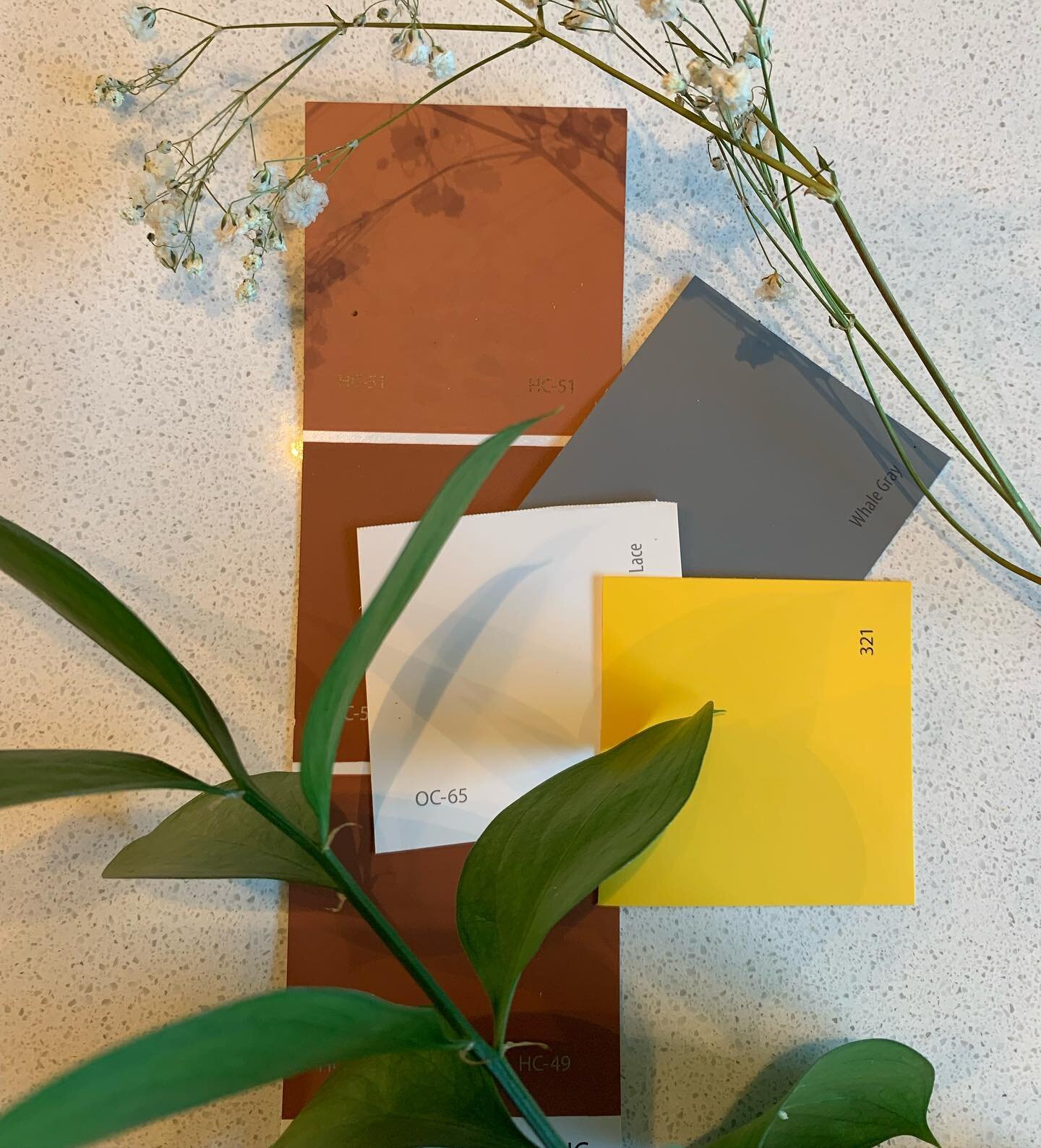 Exterior colour selections ☀️ 

#benjaminmoorepaint #benjaminmoore #exterior #exteriordesign #homedesign #homedecor #spacesbysim #interiordesign #exteriorpaintcolors #exteriorpaint #home123