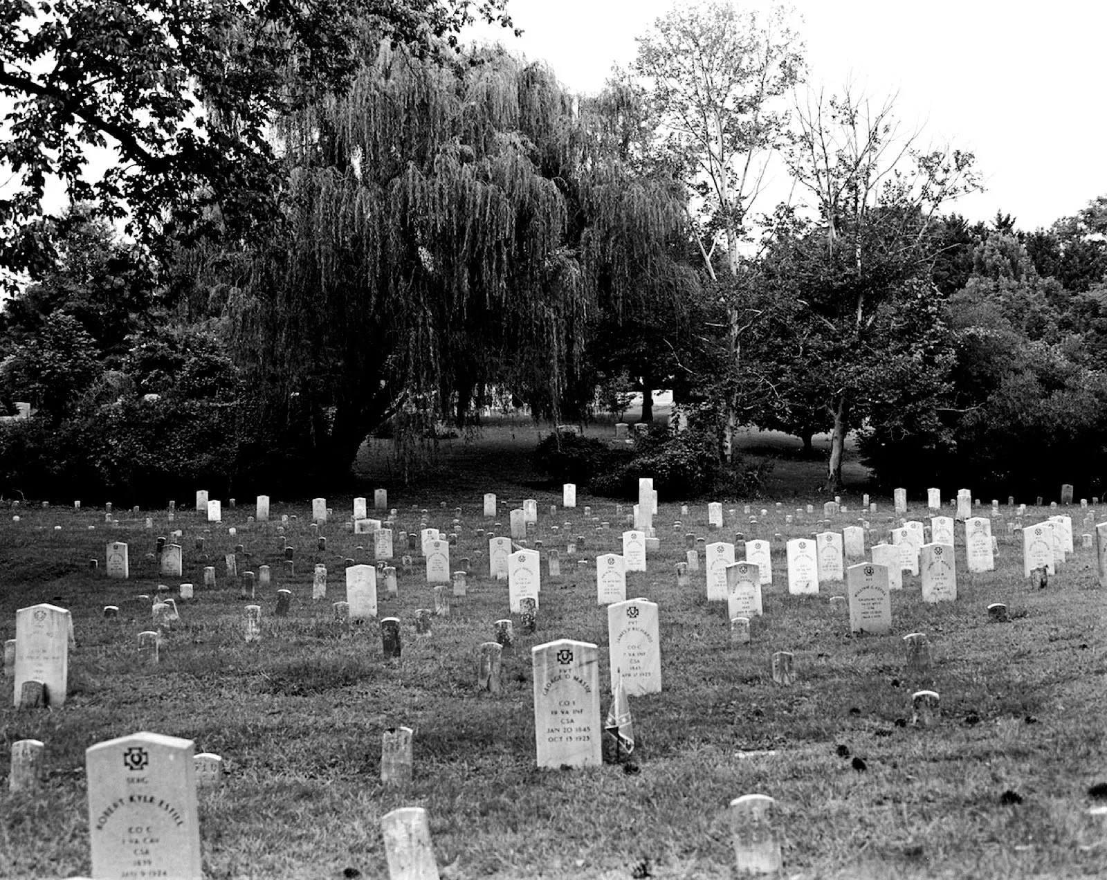 IMG_2236 Copy.jpeg