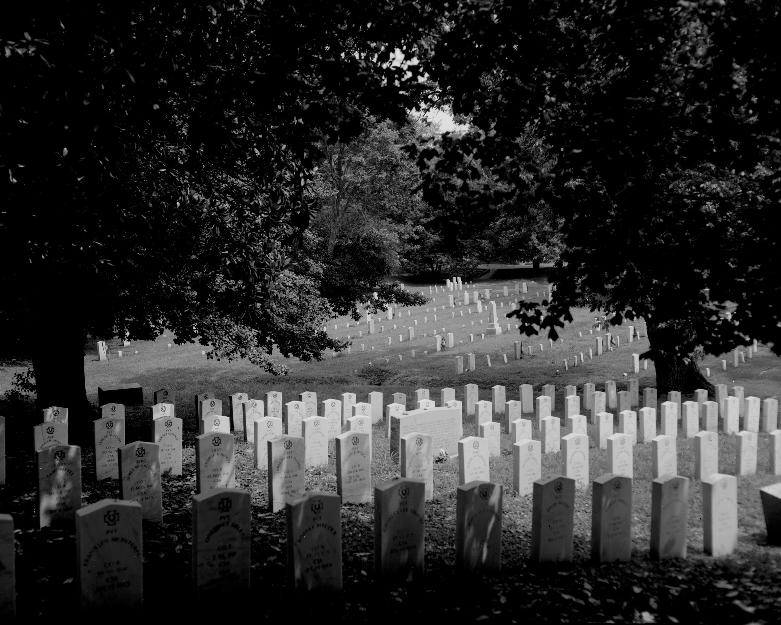 Confederate Avenue, Hollywood Cemetery. Richmond, VA. 