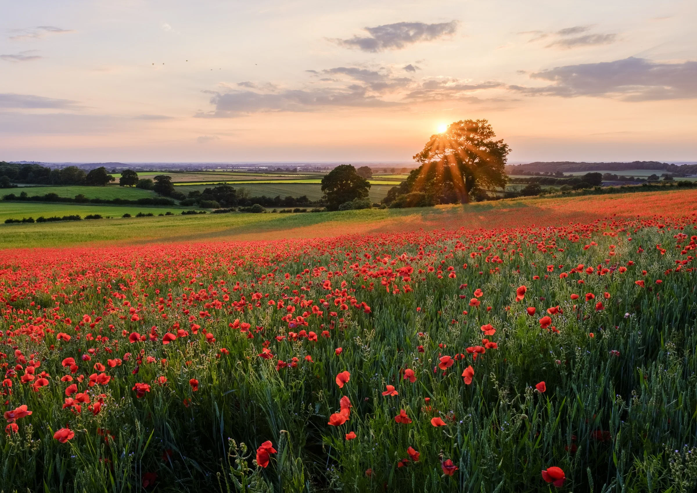 Oxfordshire (25 of 45).jpg