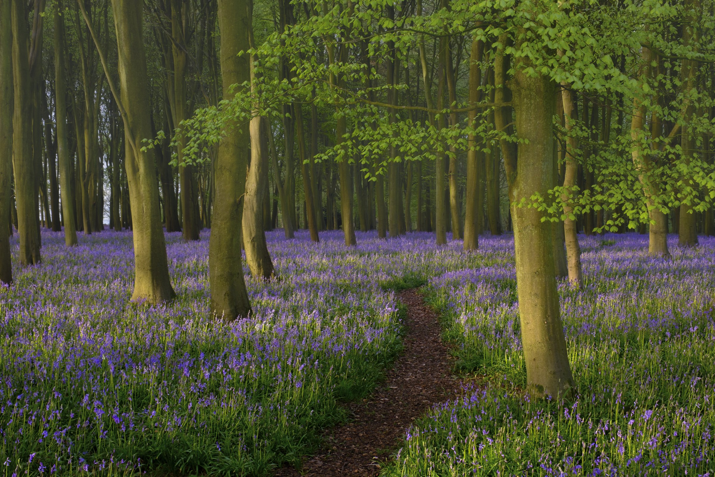 Oxfordshire (23 of 45).jpg