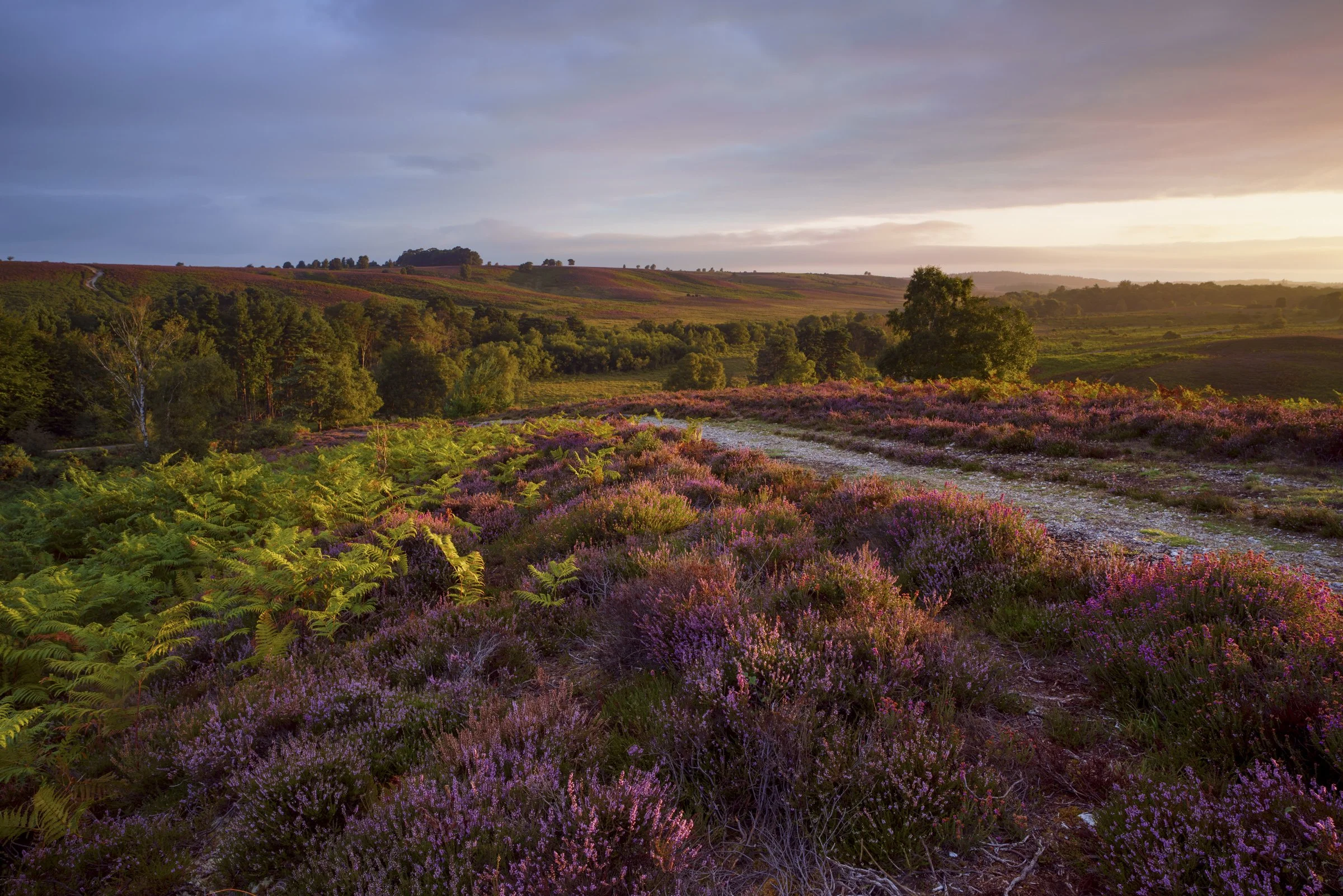 Oxfordshire (27 of 45).jpg