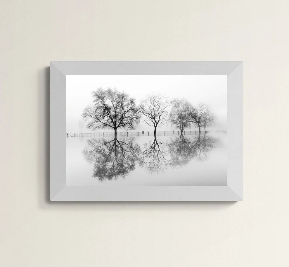 Abbey Meadows Trees