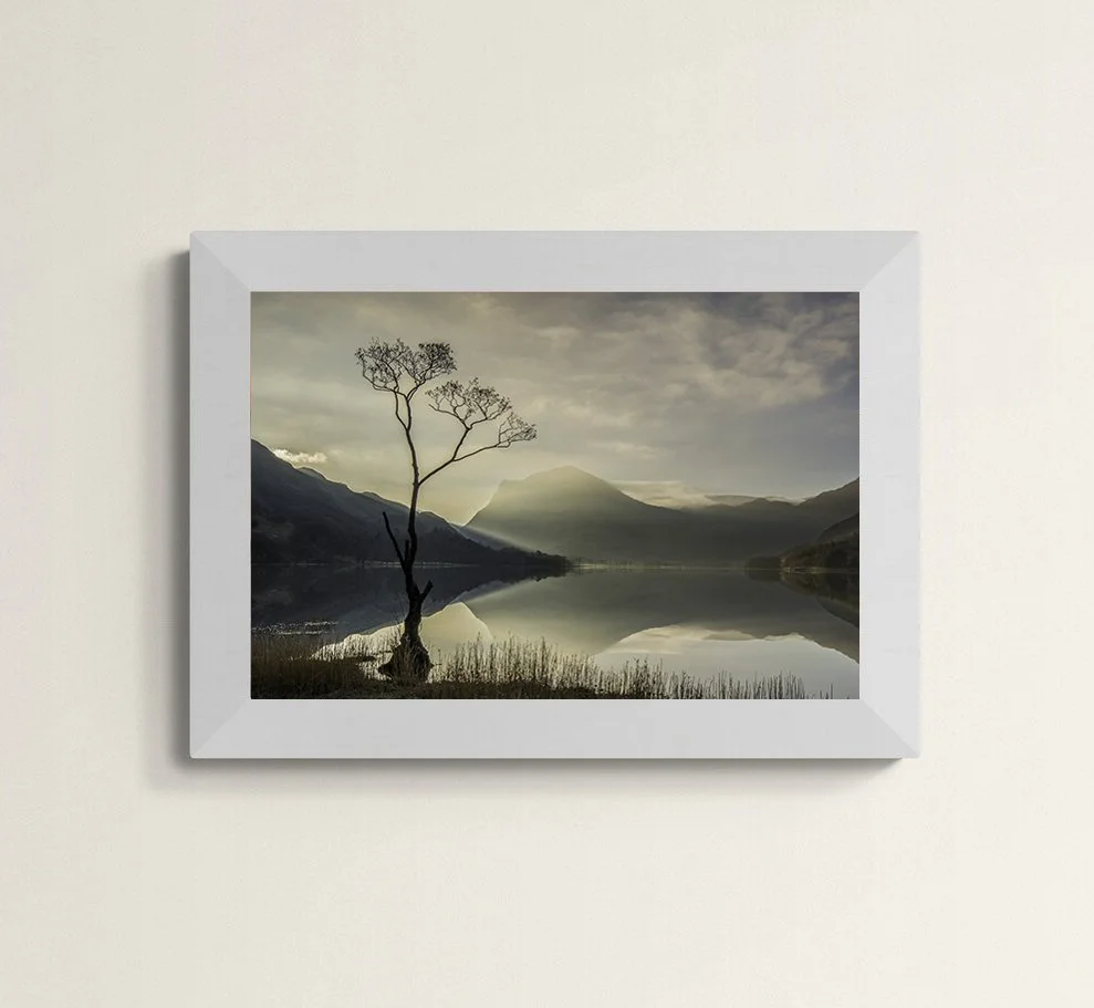 Lone Tree Buttermere