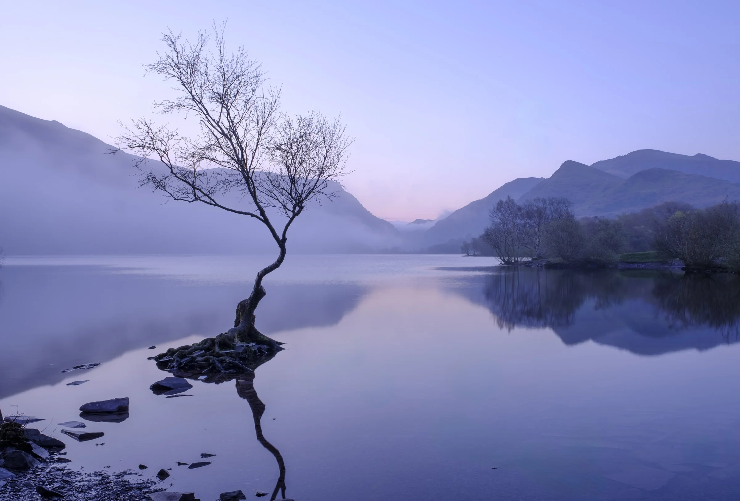 UK (15 of 22).jpg