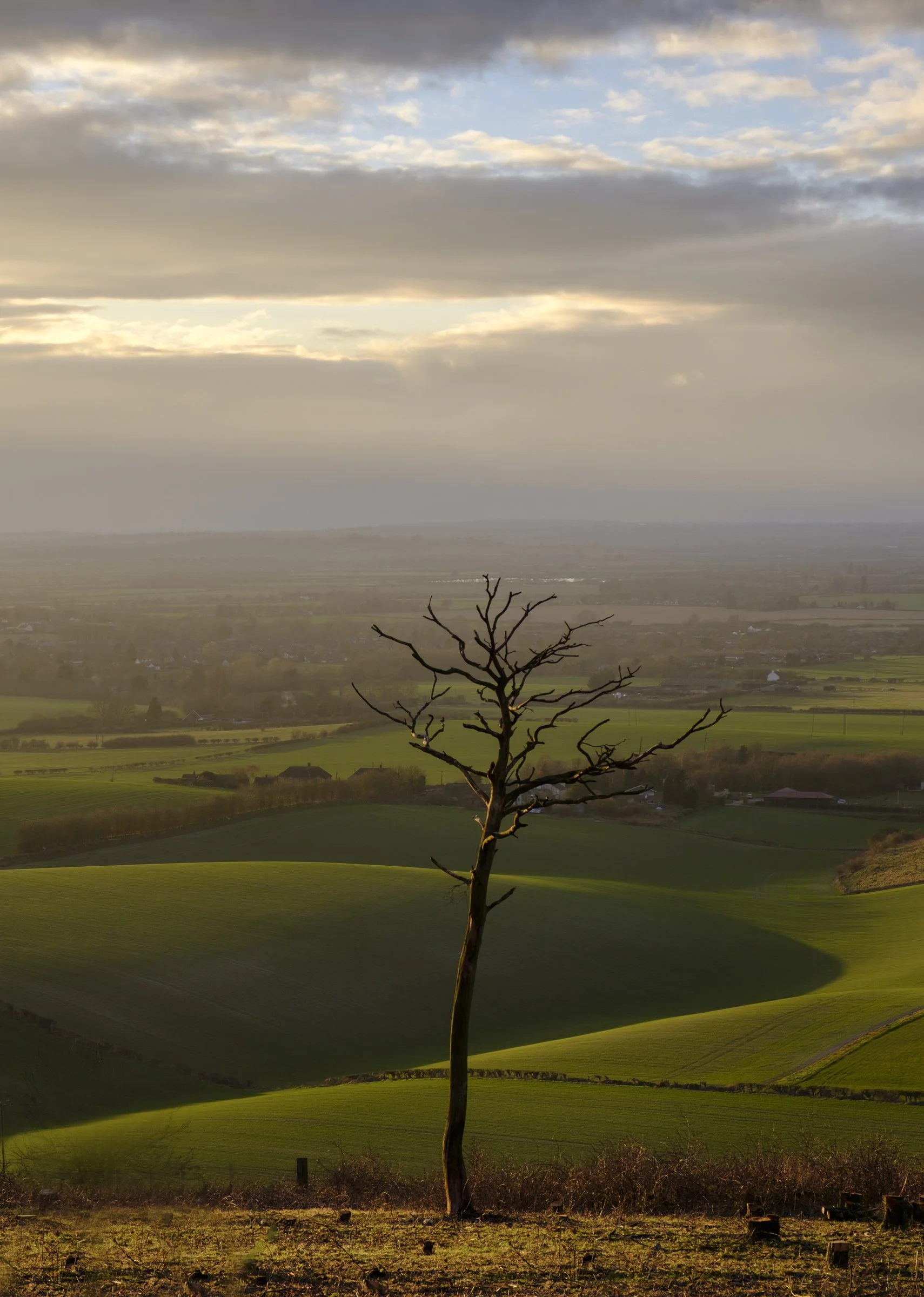 Oxfordshire (19 of 45).jpg