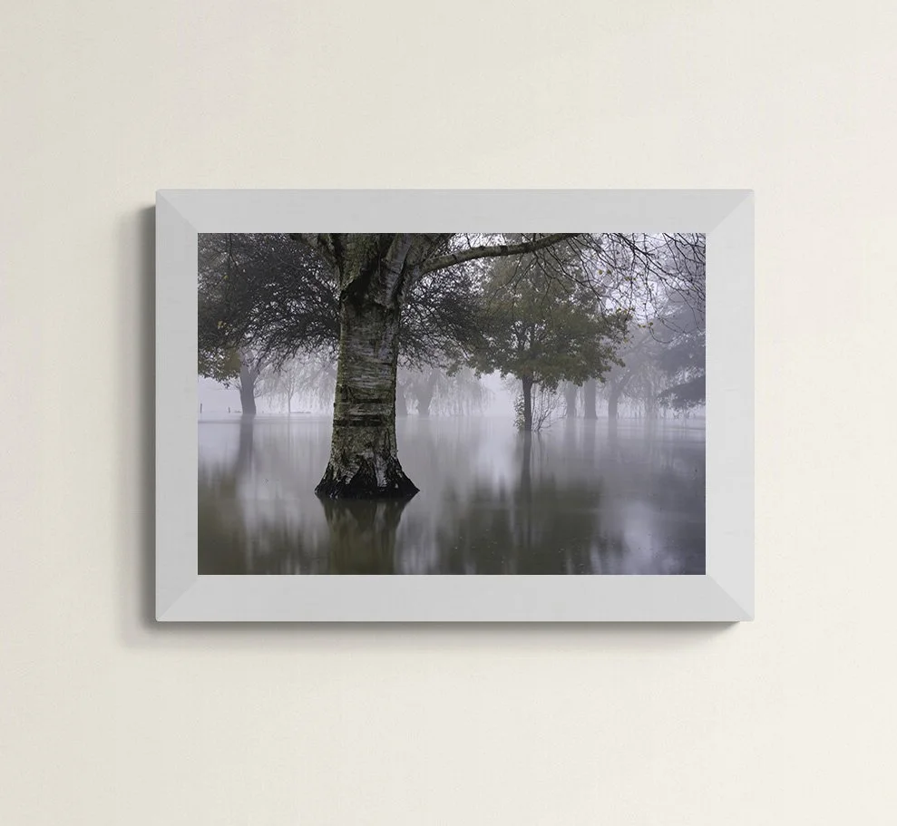 ABingdon Swamps.jpg