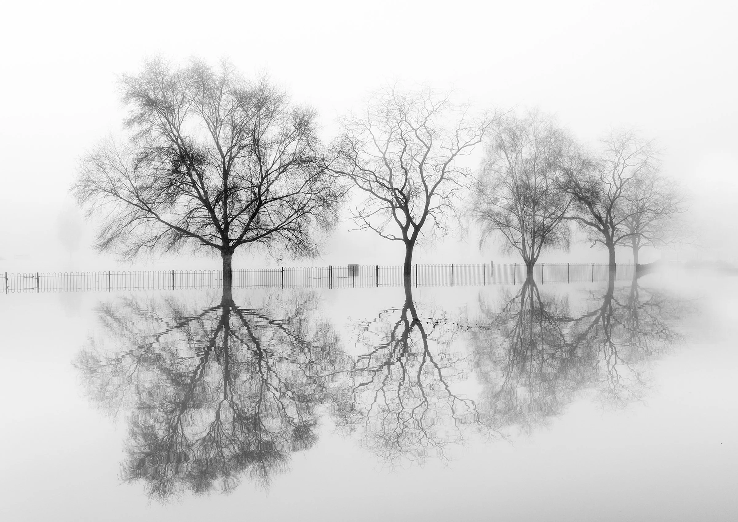 abingdon (7 of 32).jpg