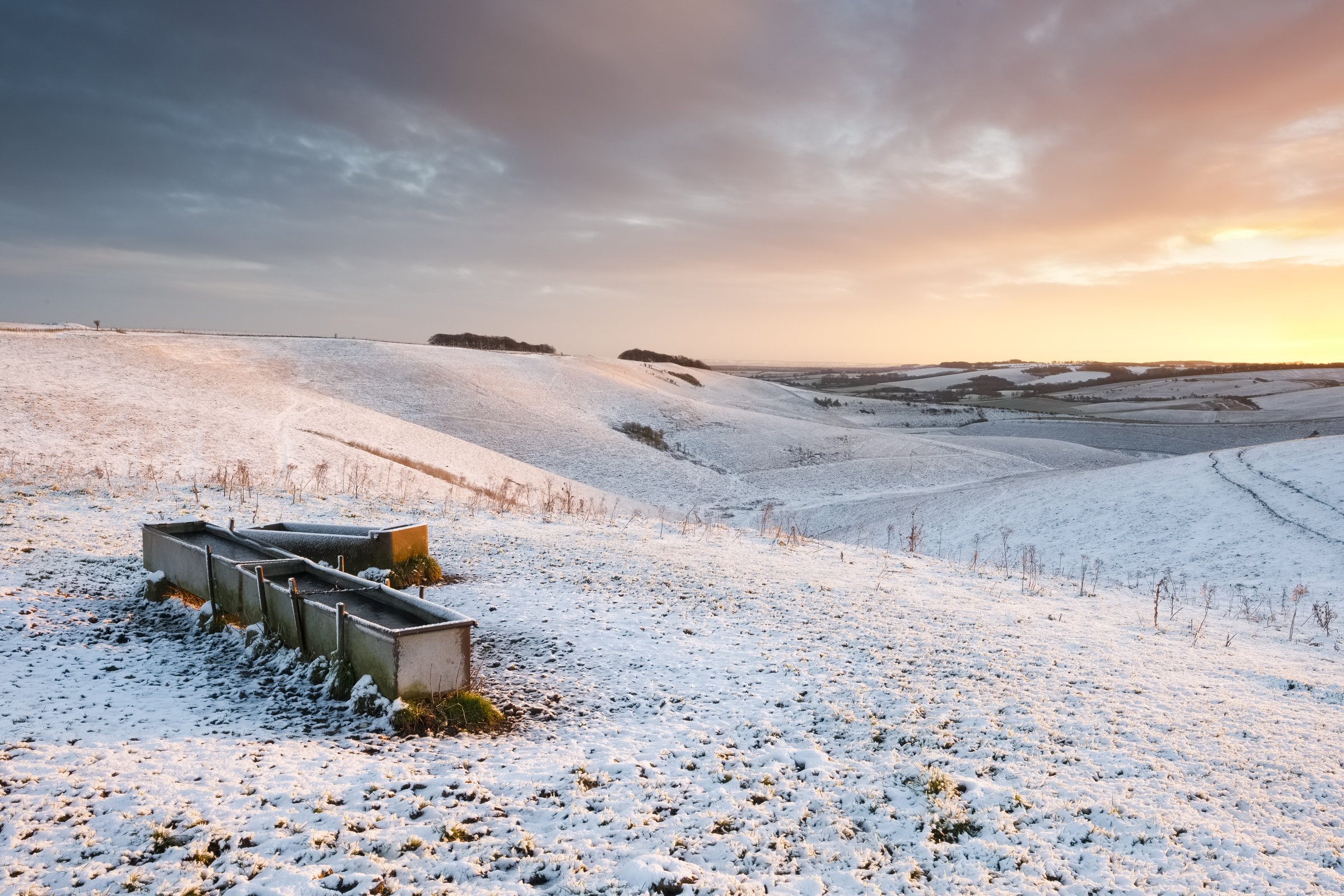 Oxfordshire (11 of 45).jpg