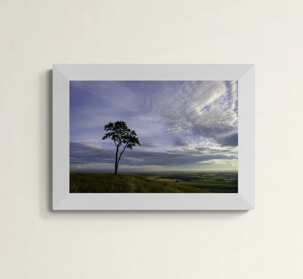 Roundway Hill.jpg