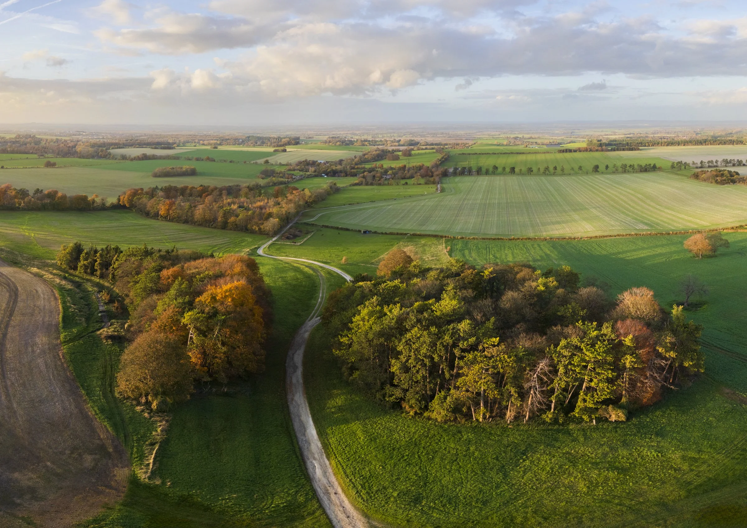Oxfordshire (43 of 45).jpg