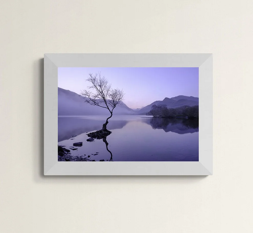 Llyn Padarn Lone Tree