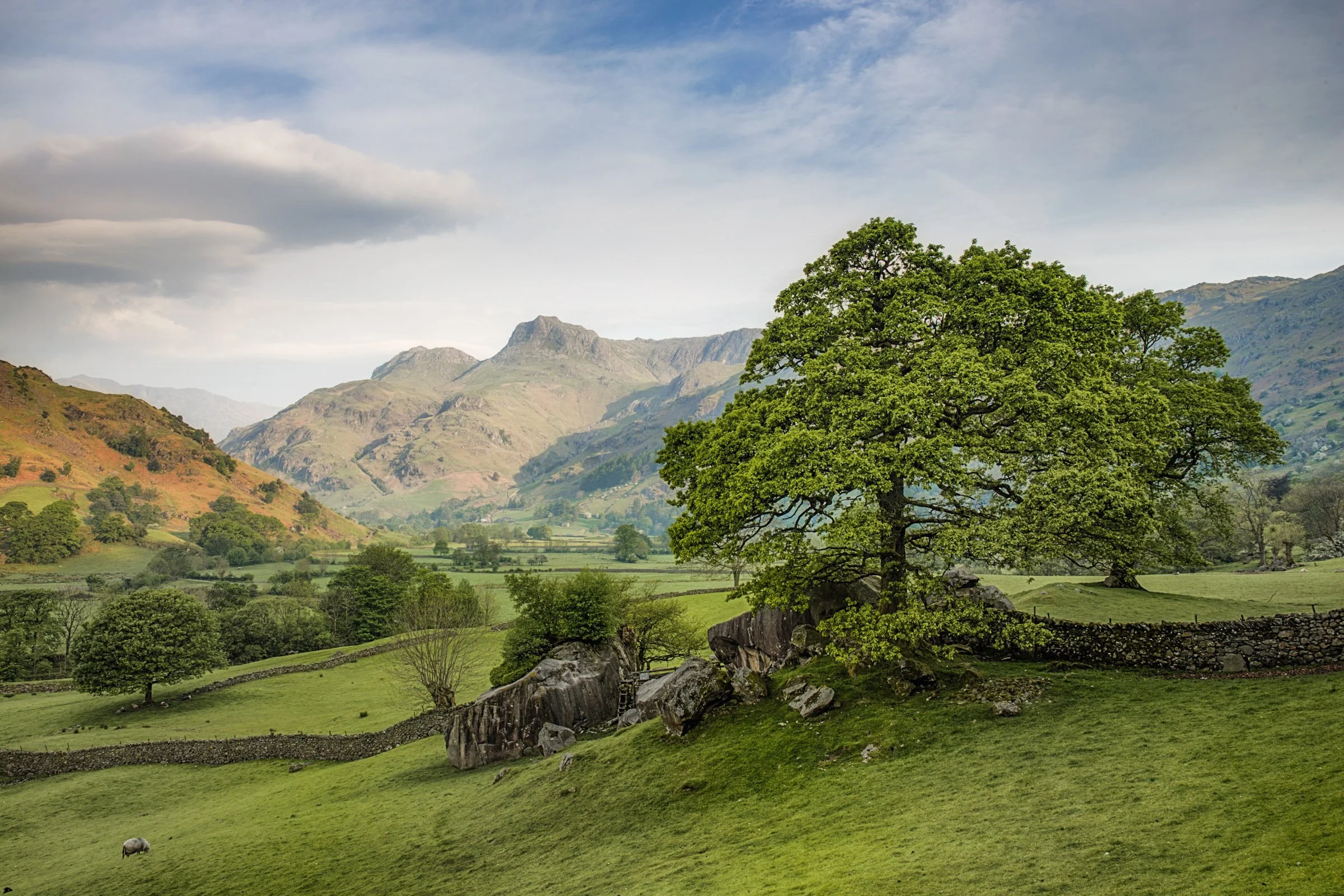 Lakes (1 of 29).jpg