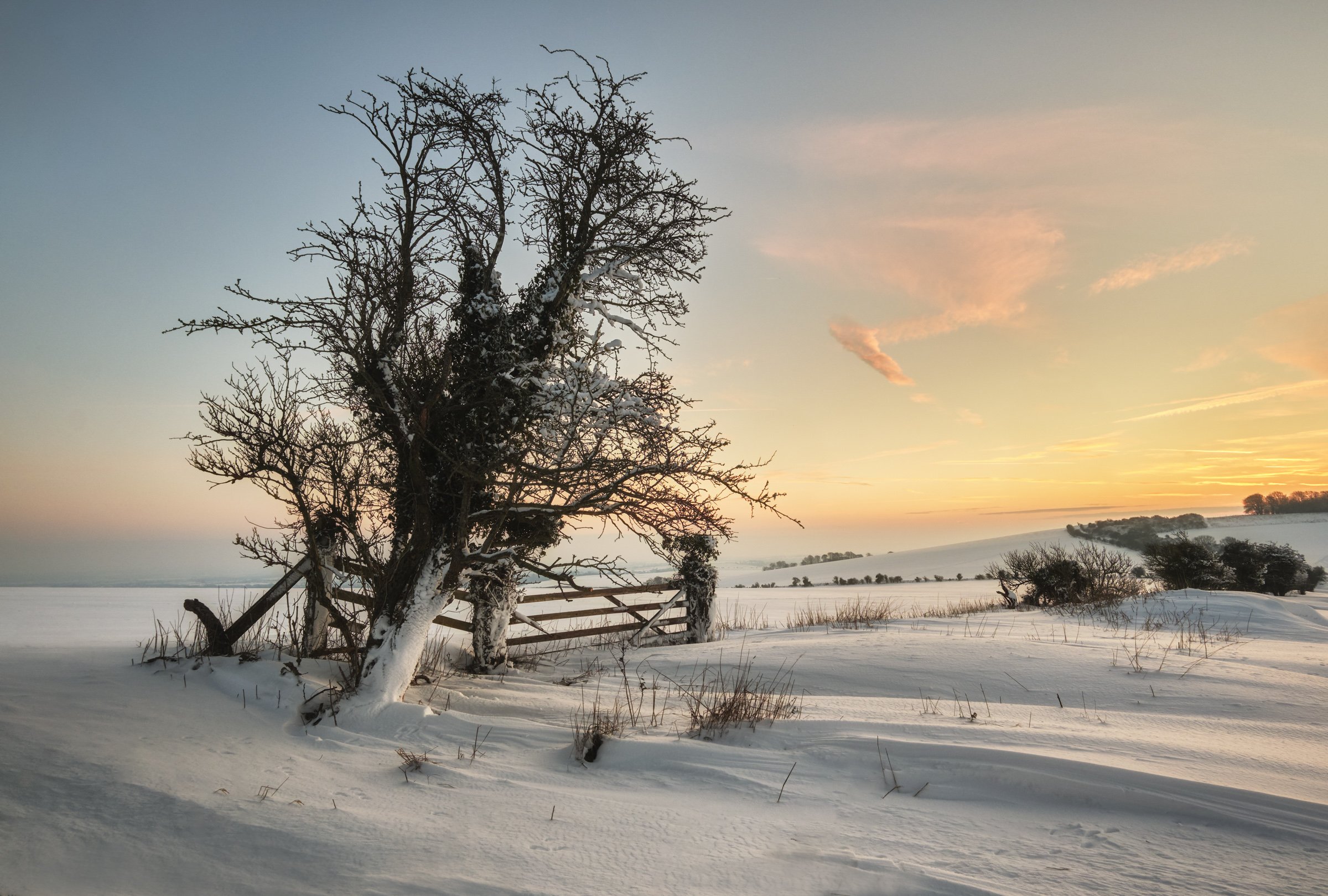 Oxfordshire (33 of 45).jpg