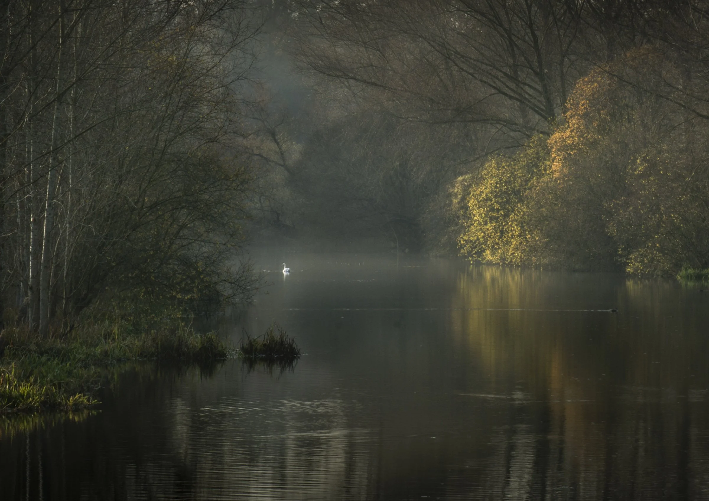 Oxfordshire (3 of 45).jpg