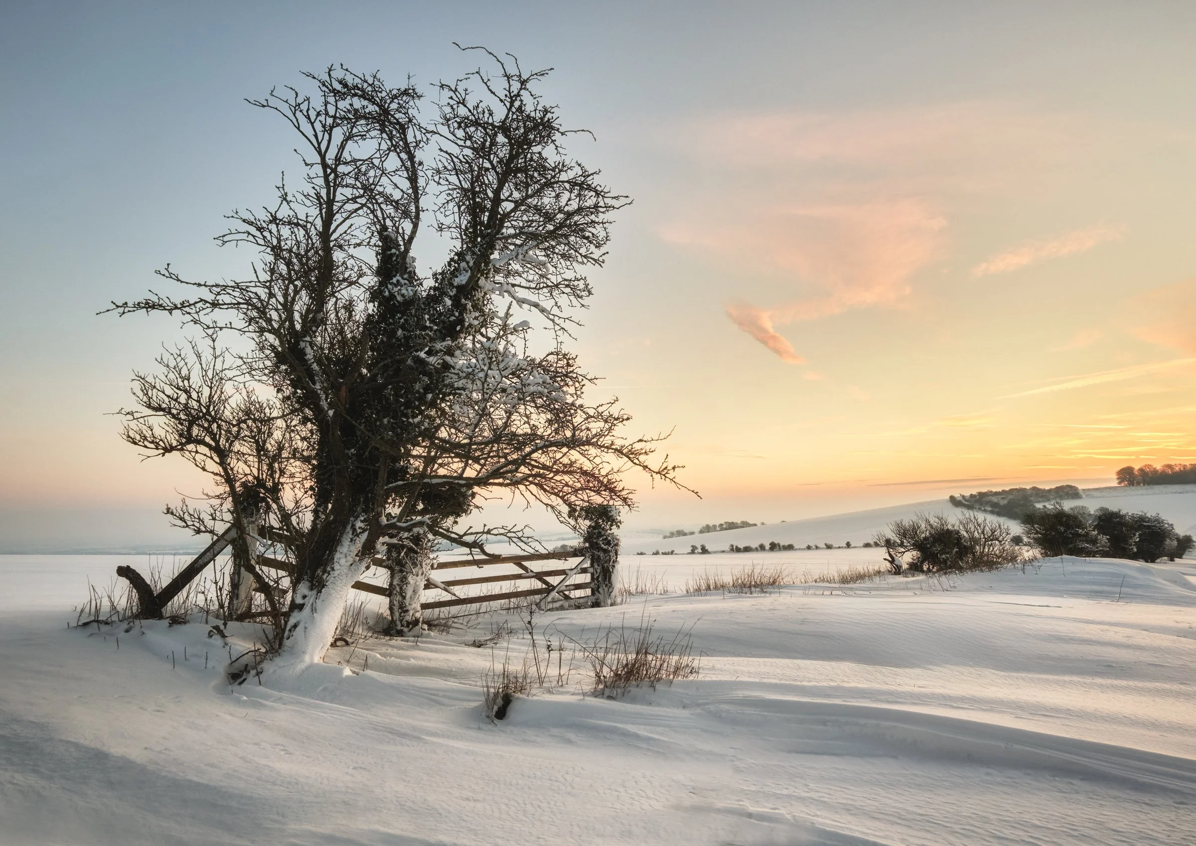 Oxfordshire (32 of 45).jpg