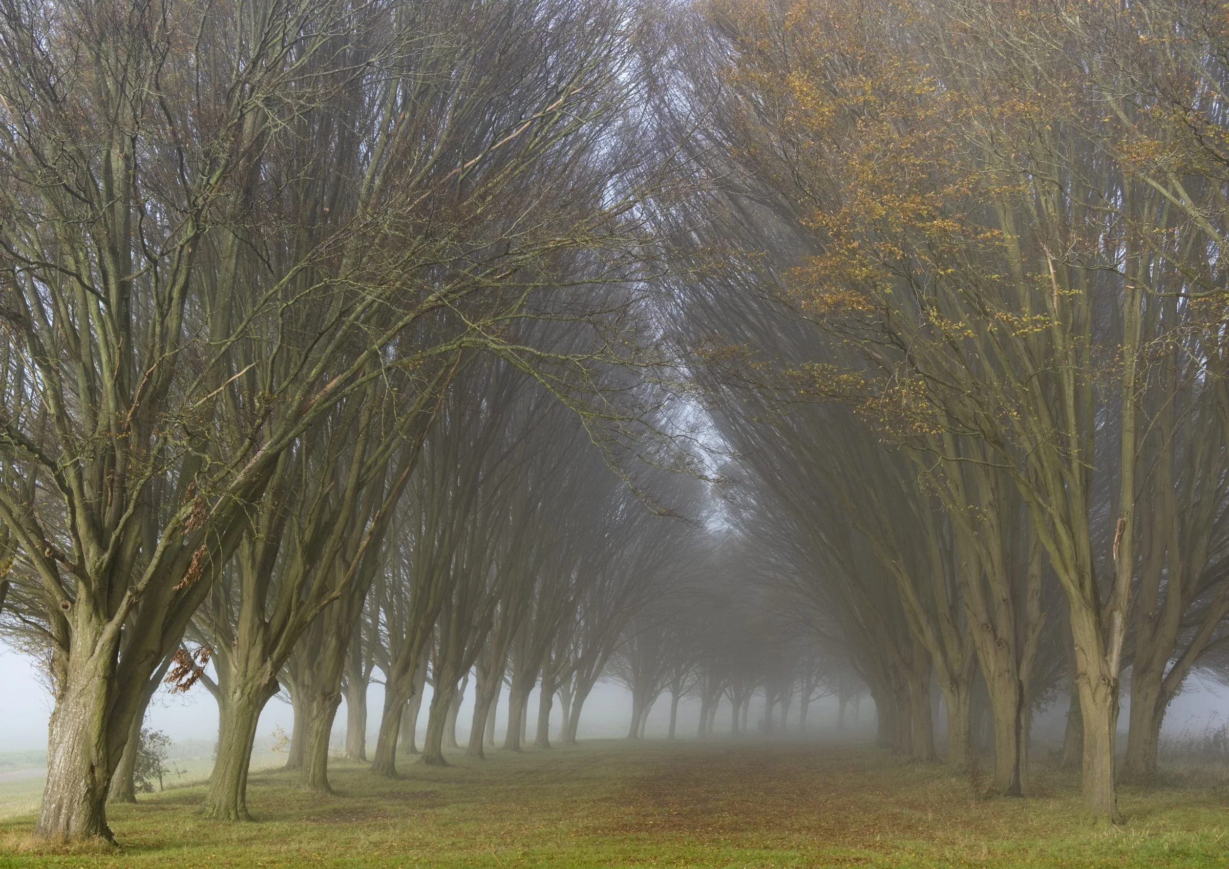 abingdon (5 of 32).jpg