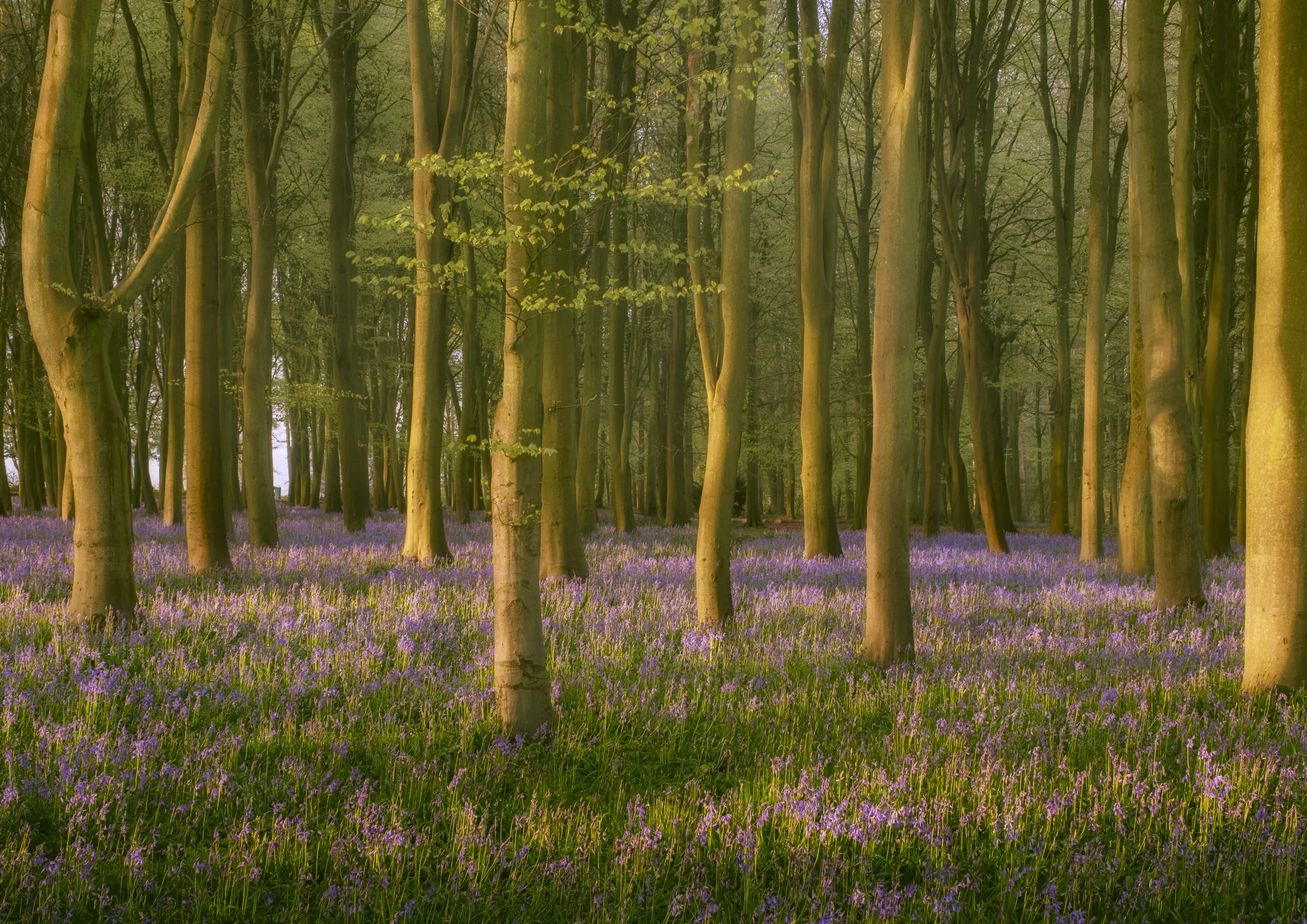 Oxfordshire (22 of 45).jpg