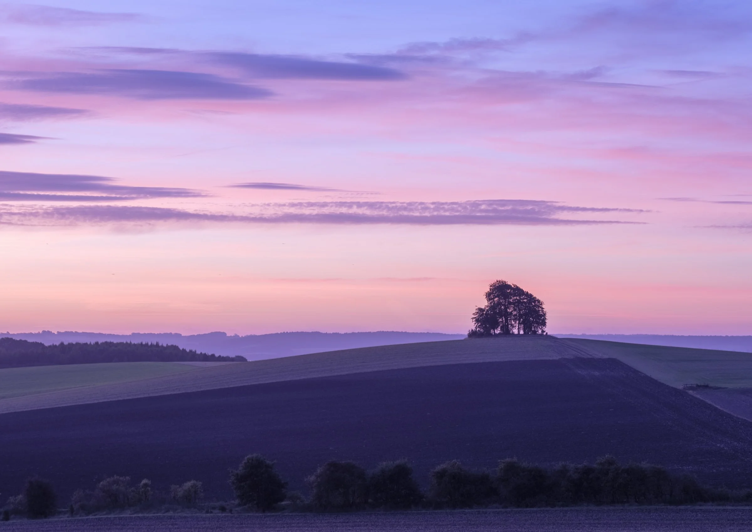 Oxfordshire (6 of 45).jpg