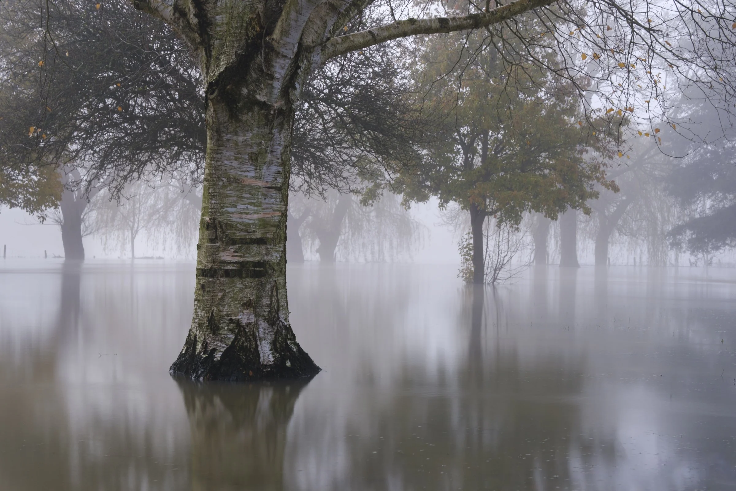 abingdon (6 of 32).jpg