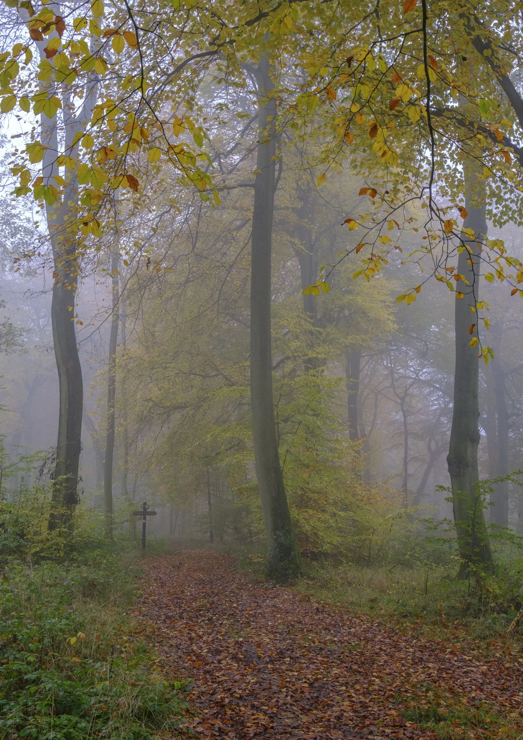 Oxfordshire (35 of 45).jpg