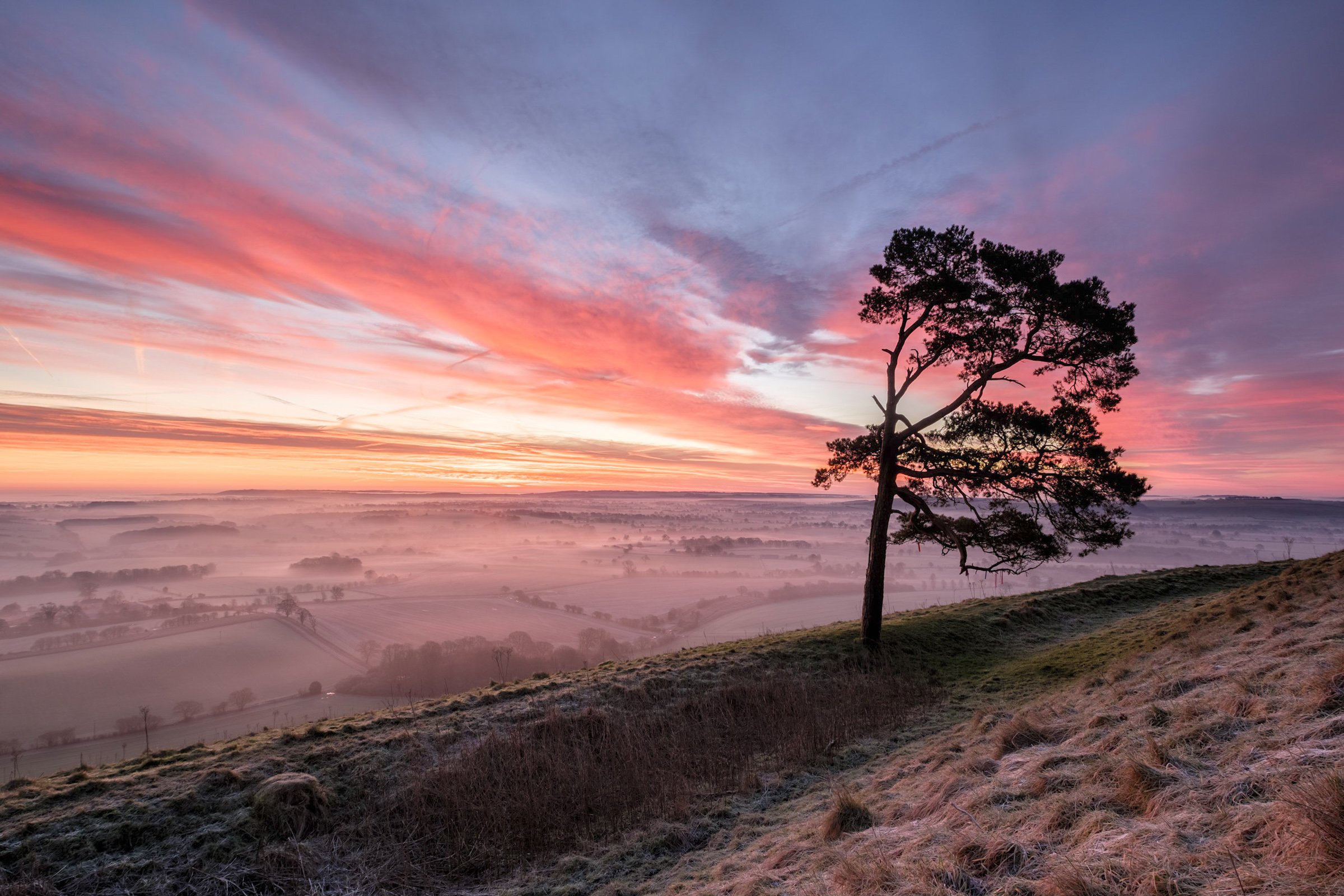Oxfordshire (13 of 45).jpg