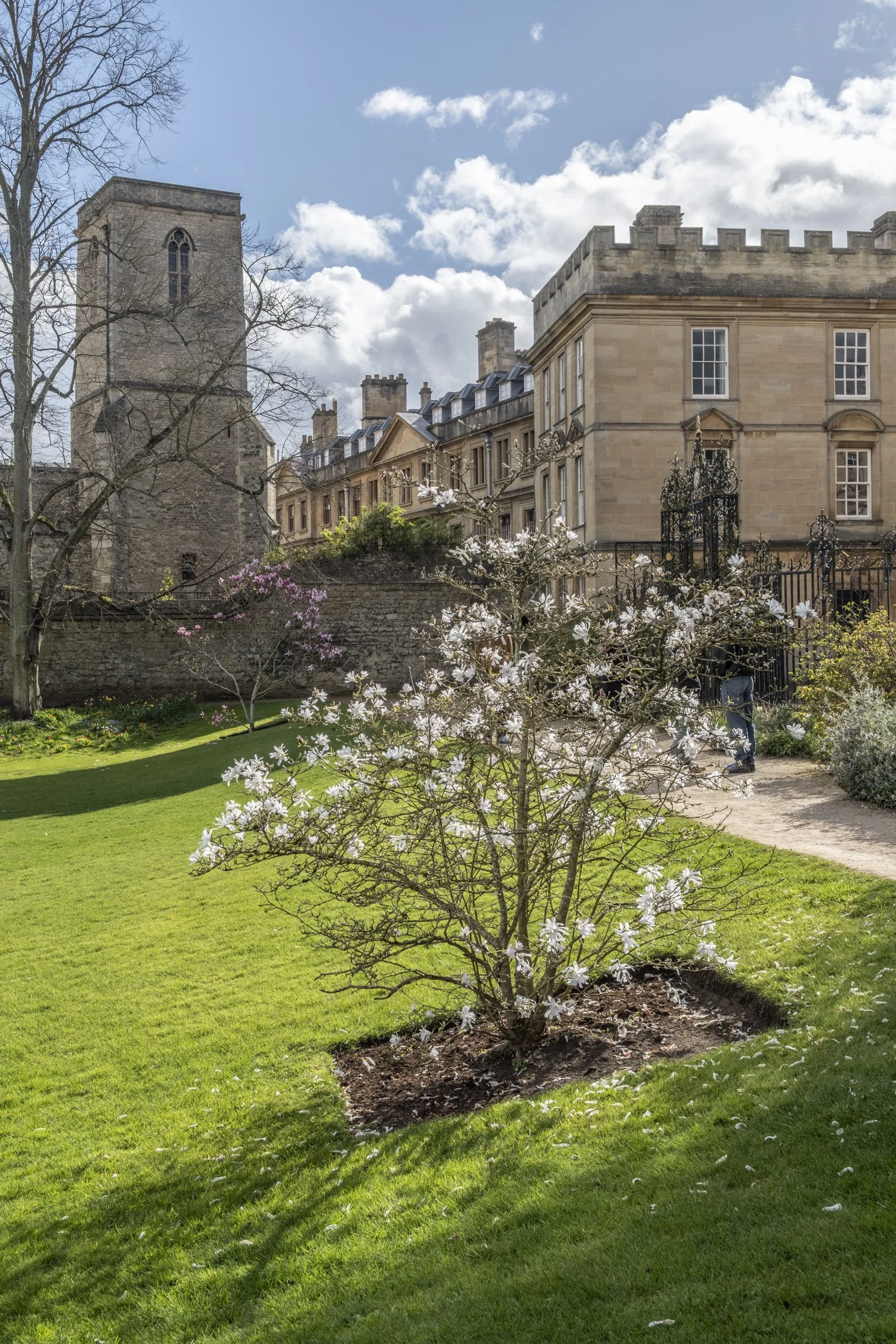 oxford (7 of 29).jpg