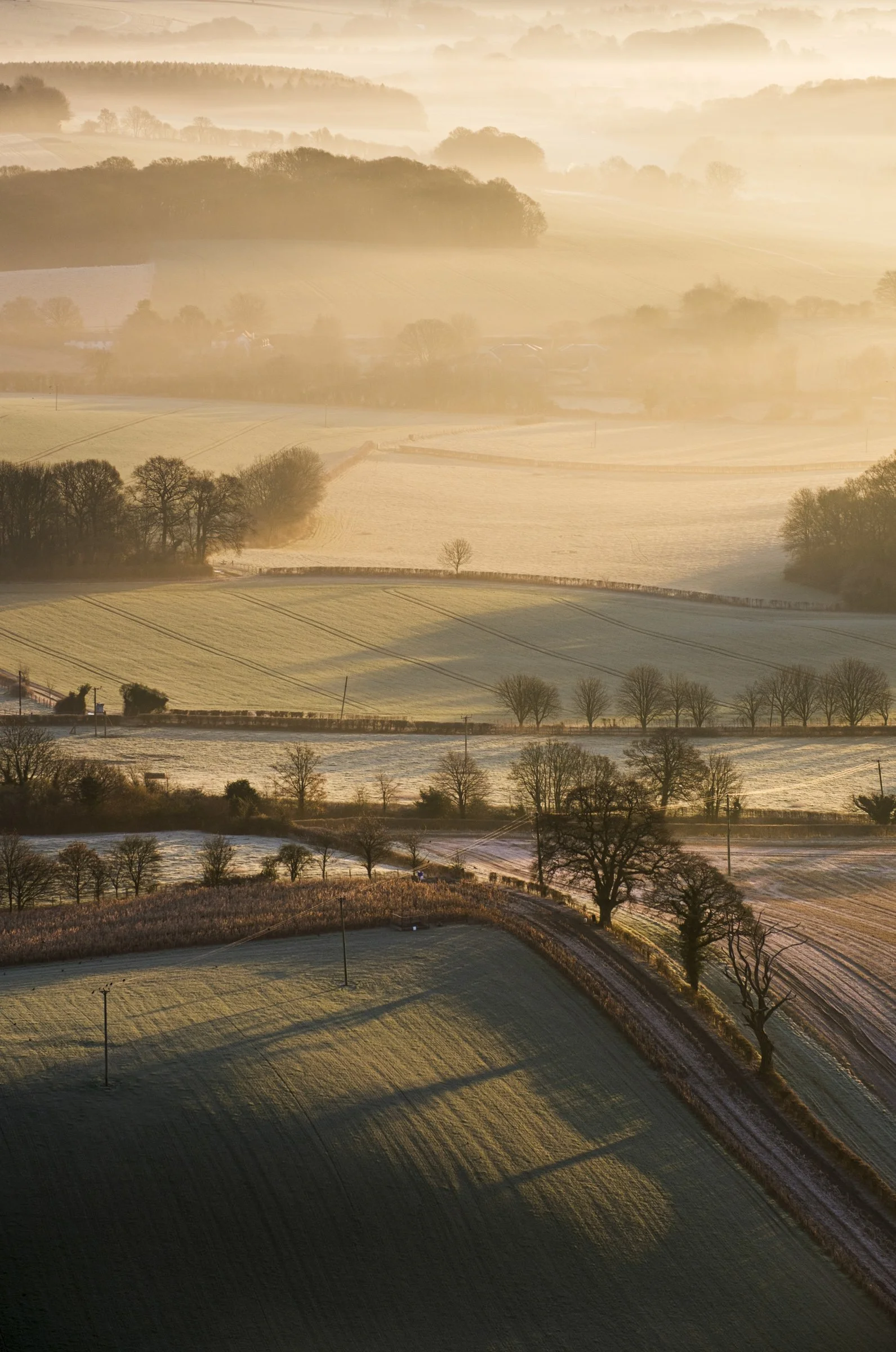 Oxfordshire (14 of 45).jpg