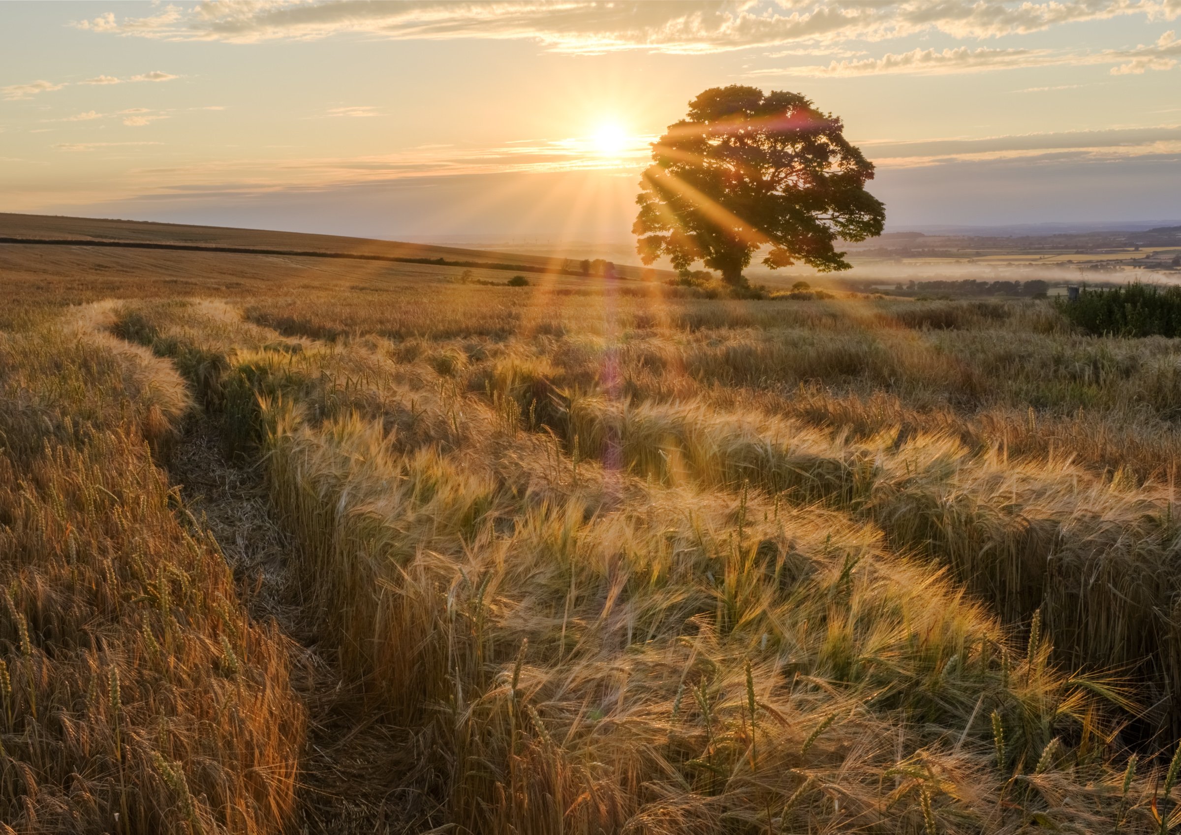 Oxfordshire (16 of 45).jpg