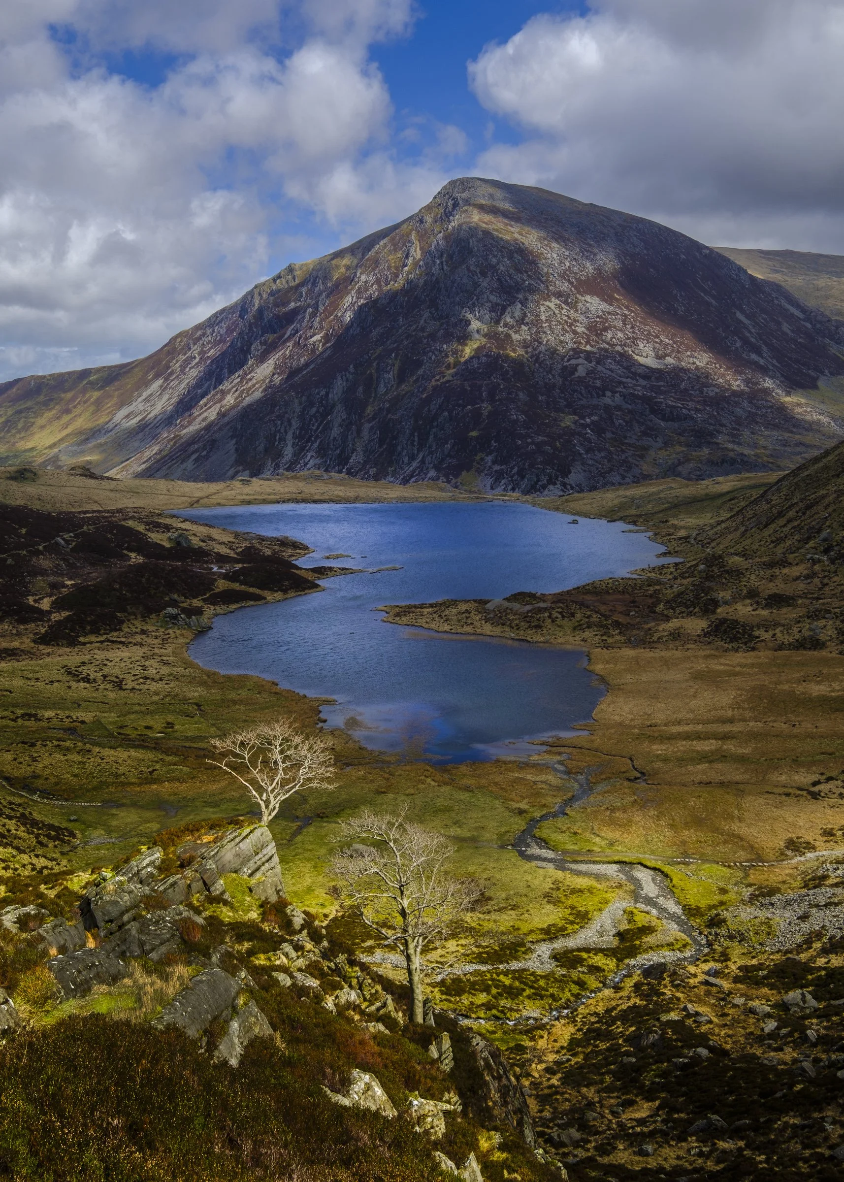 wales (2 of 13).jpg