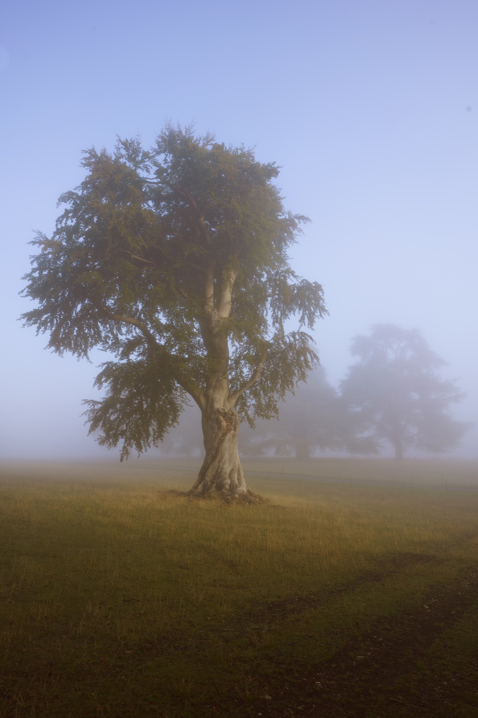 Oxfordshire (28 of 45).jpg