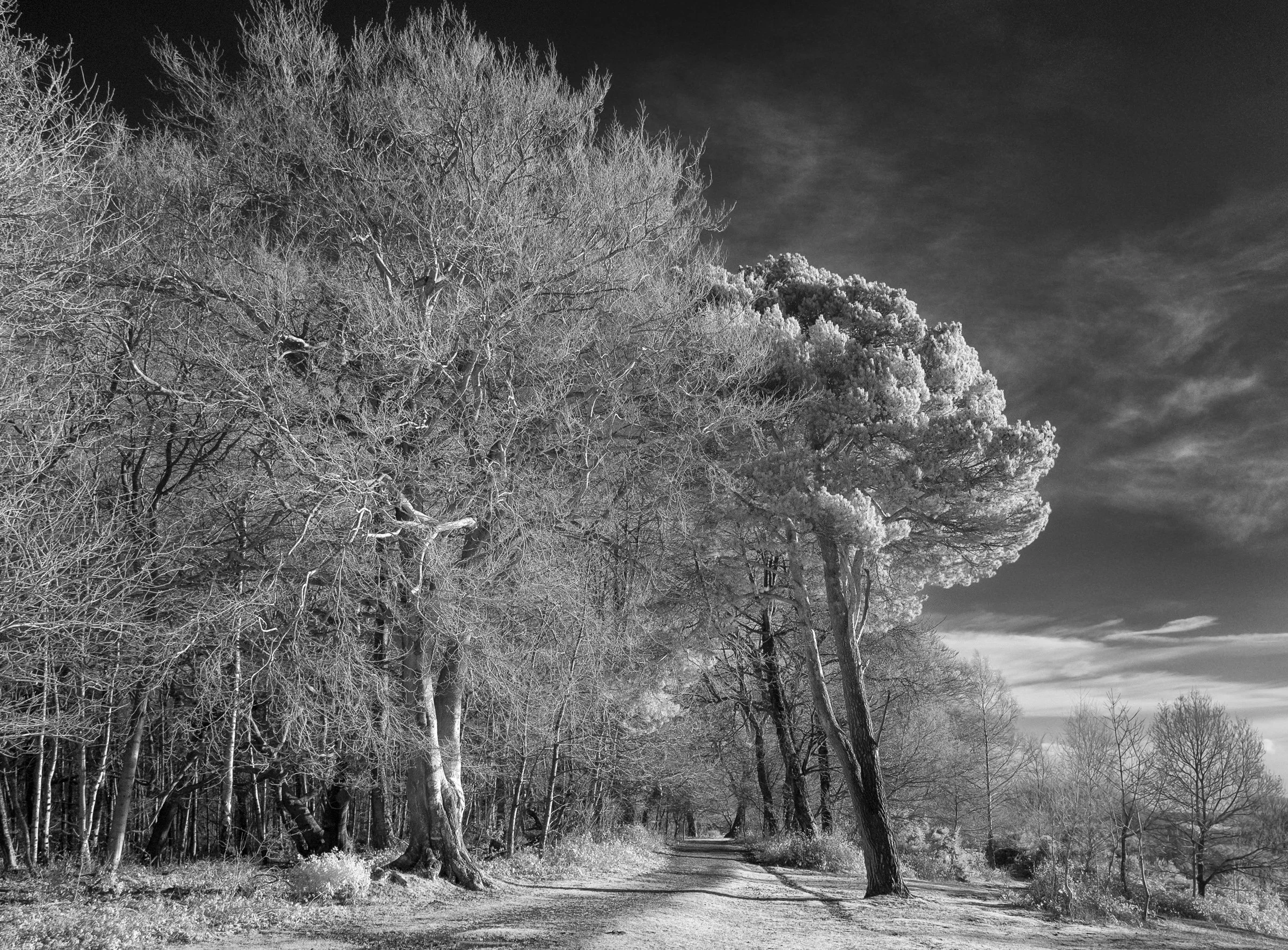 Oxfordshire (36 of 45).jpg